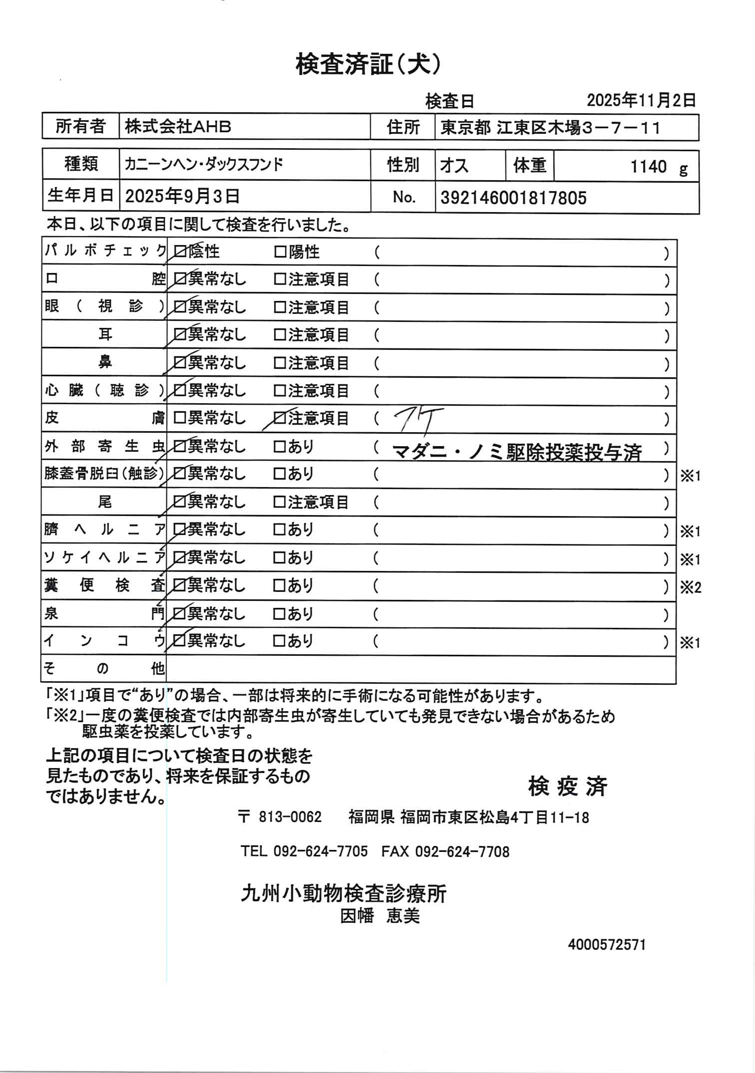 カニーンヘン・ダックスフンド