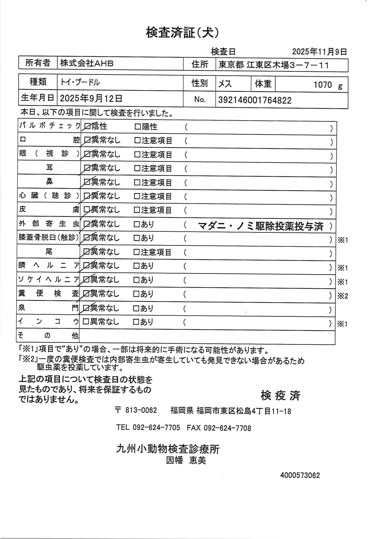 トイ・プードル