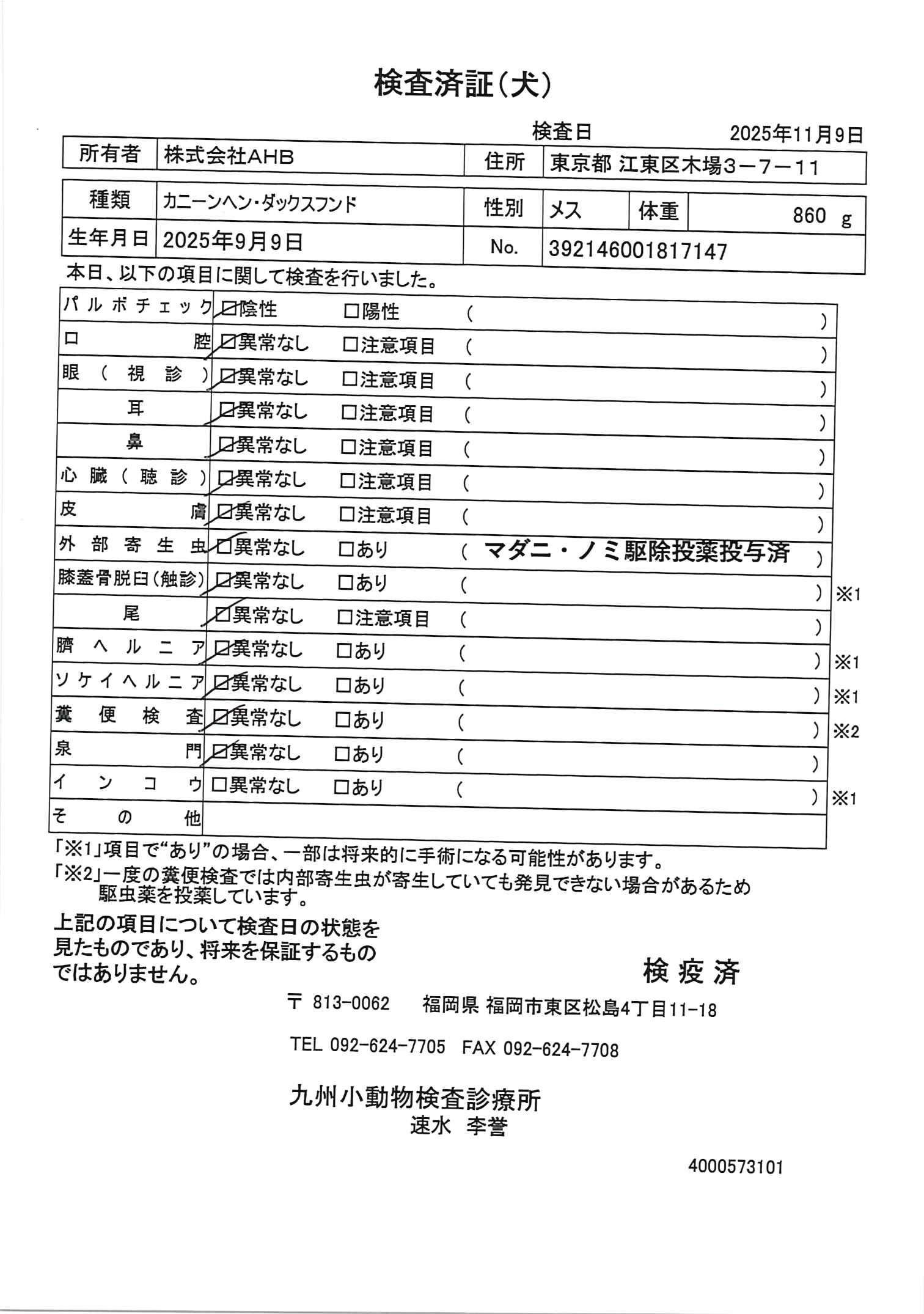 カニーンヘン・ダックスフンド