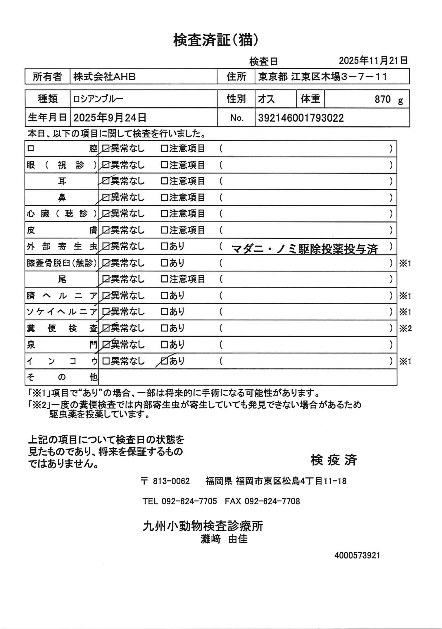 ロシアンブルー