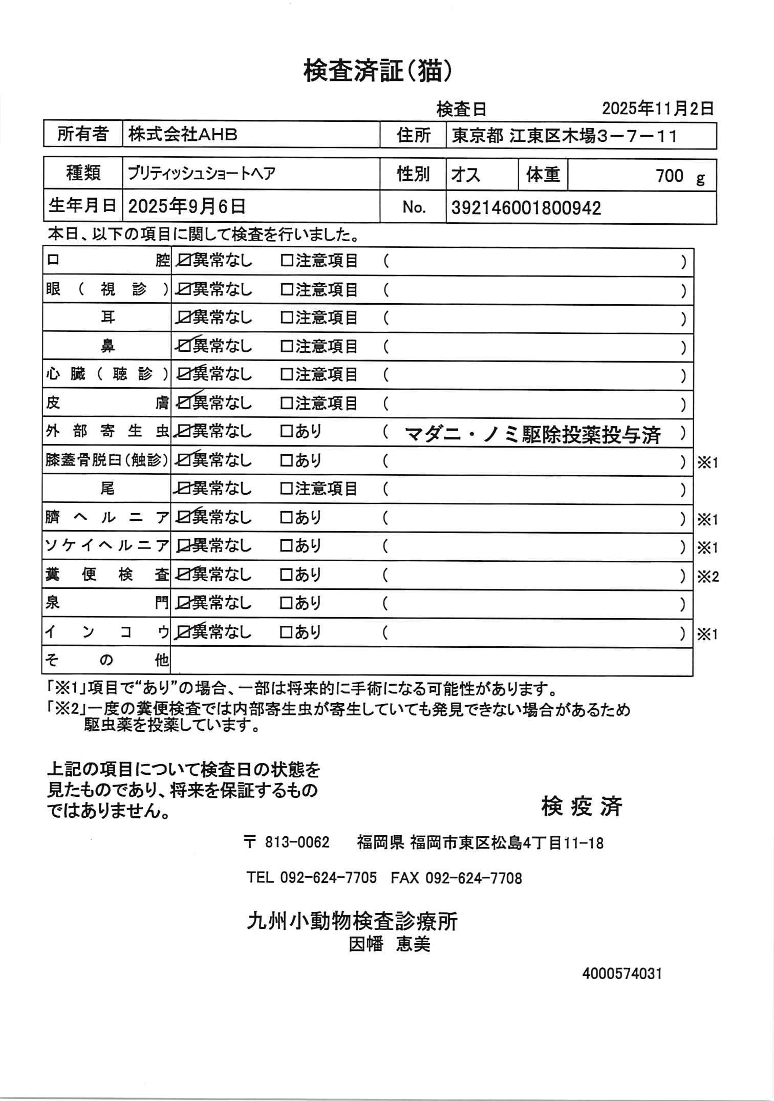 ブリティッシュショートヘア