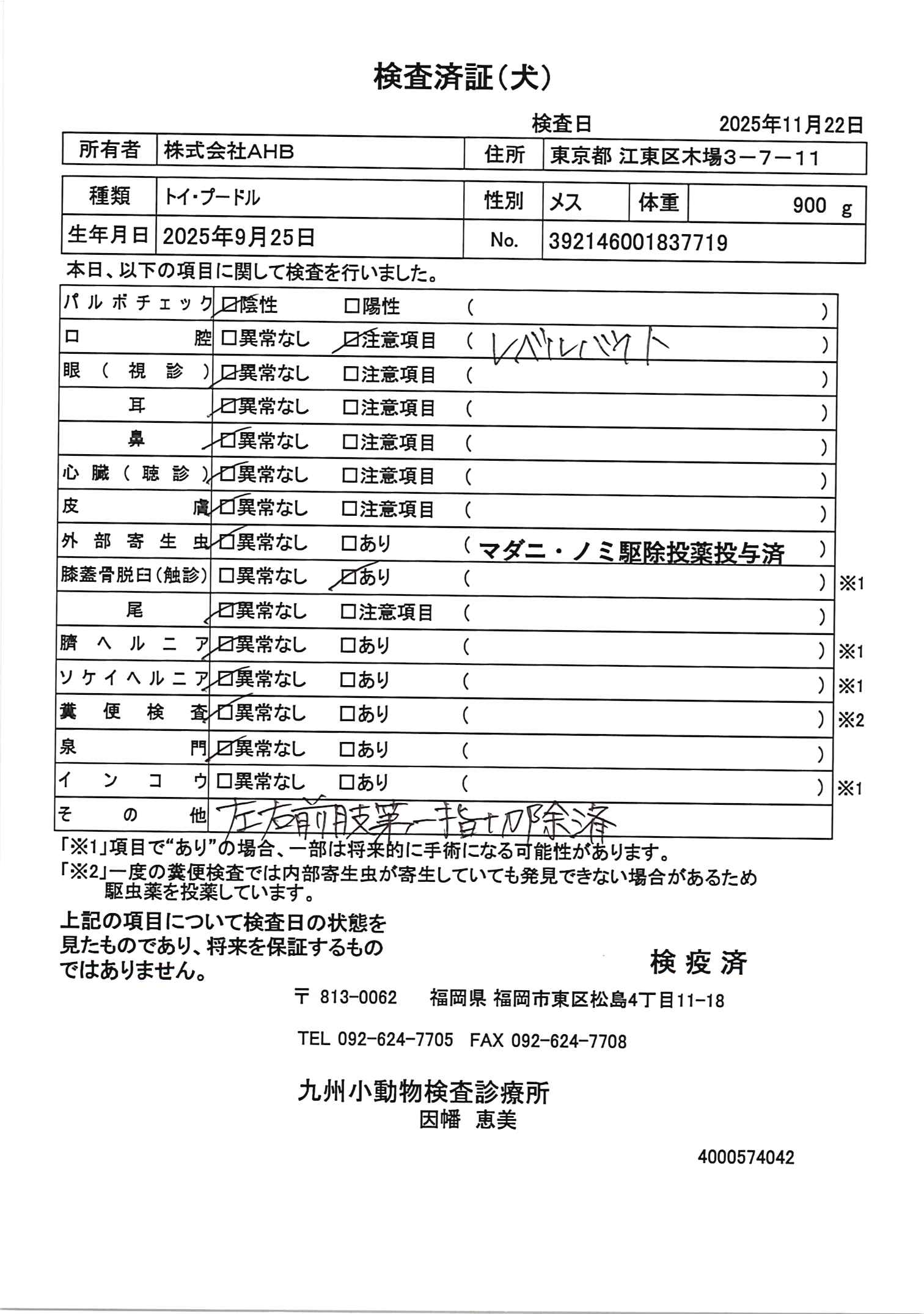 トイ・プードル