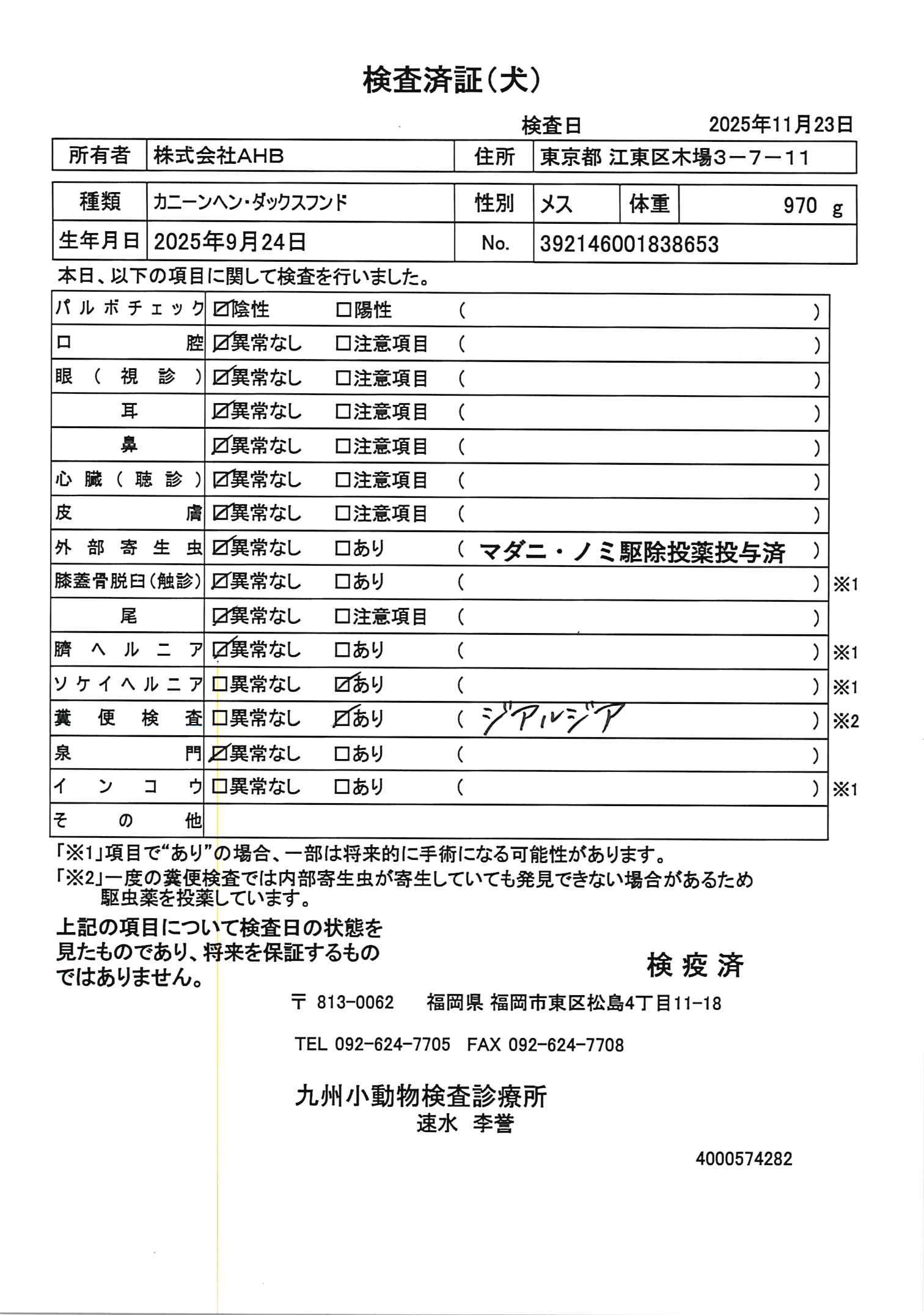 カニーンヘン・ダックスフンド