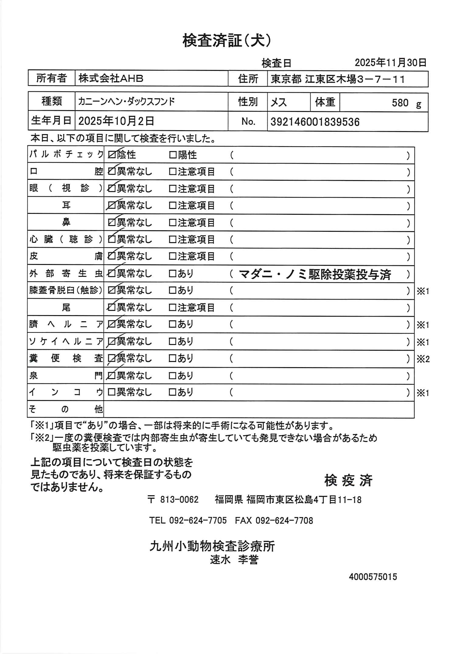 カニーンヘン・ダックスフンド