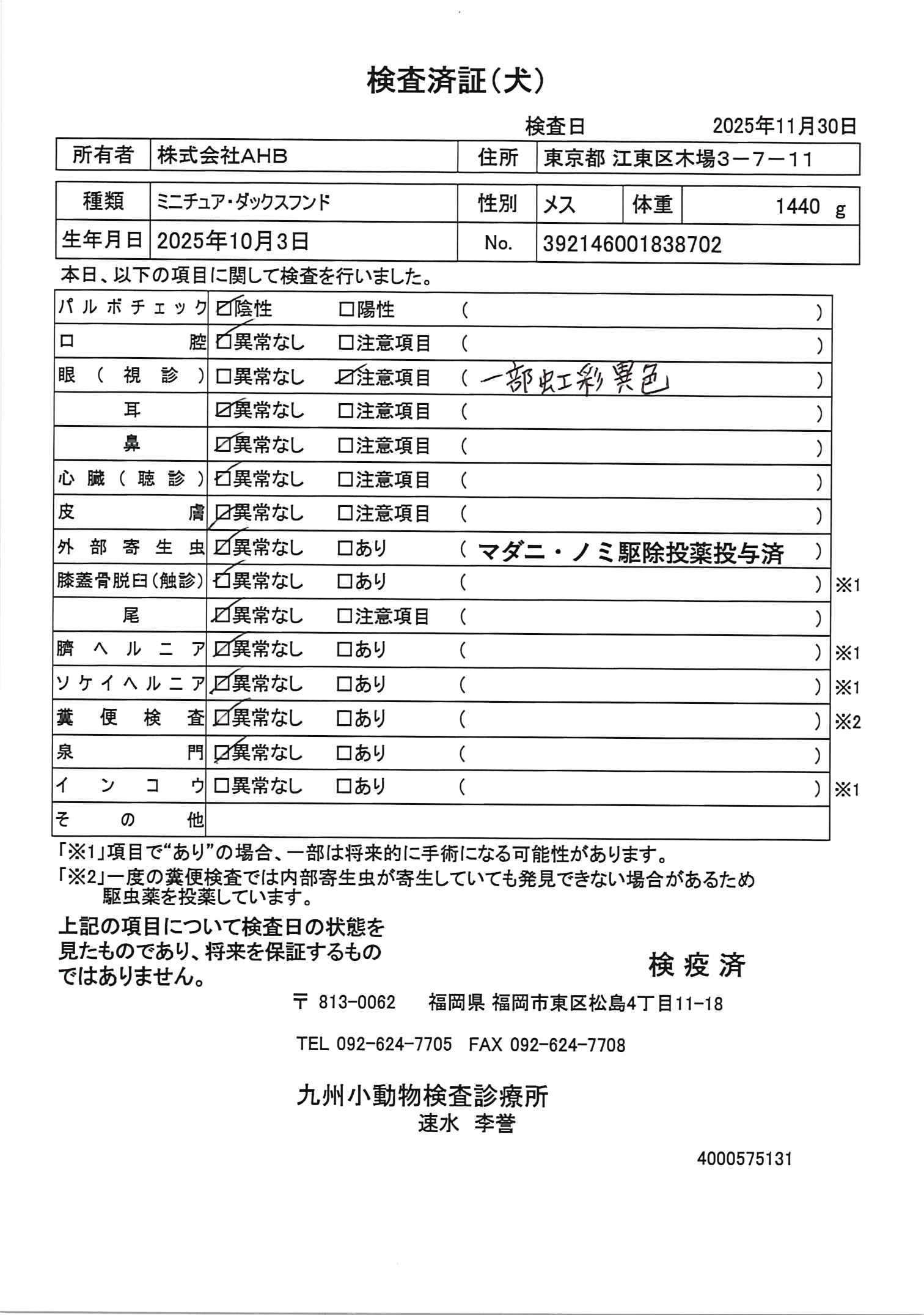 ミニチュア・ダックスフンド
