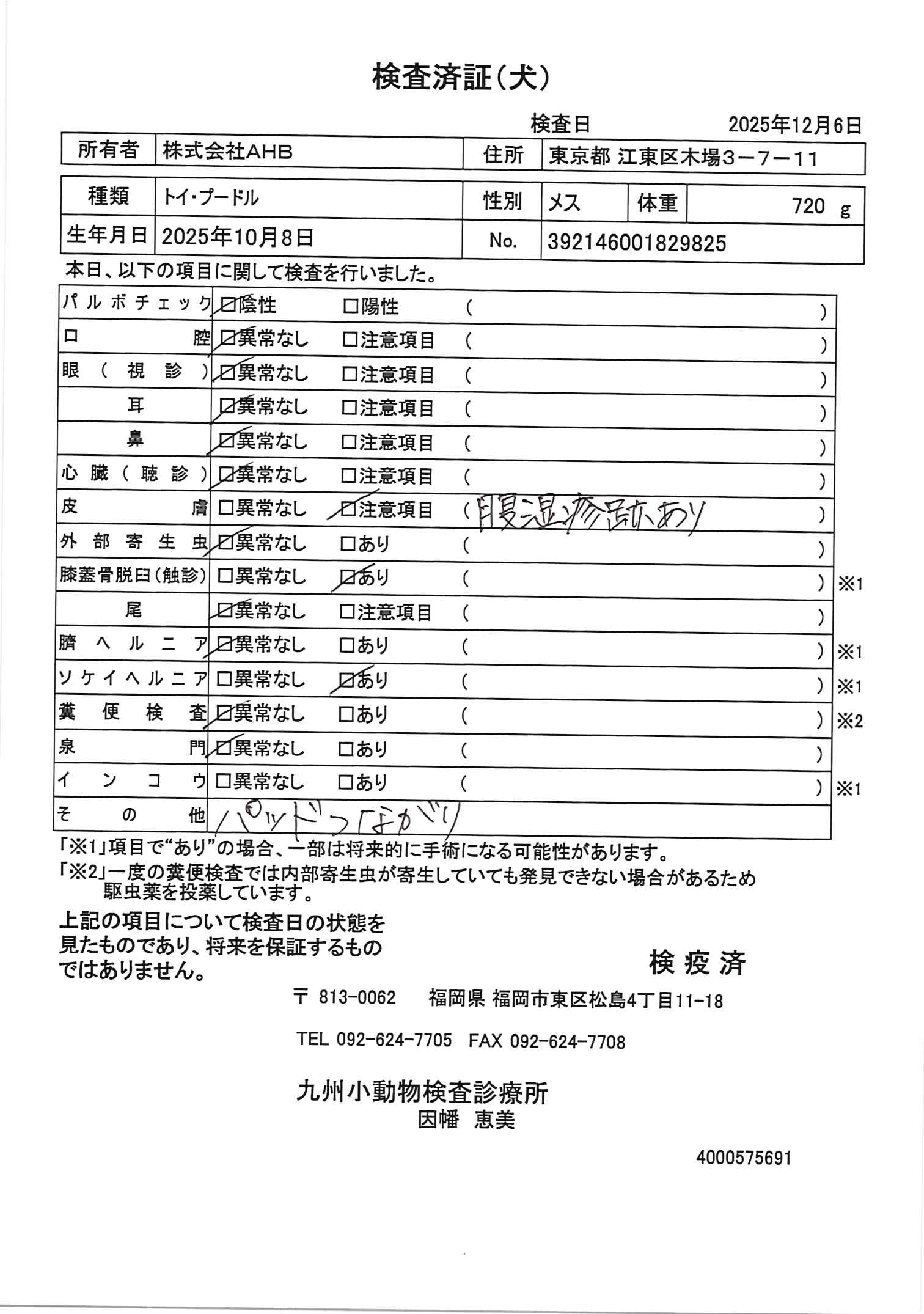 トイ・プードル