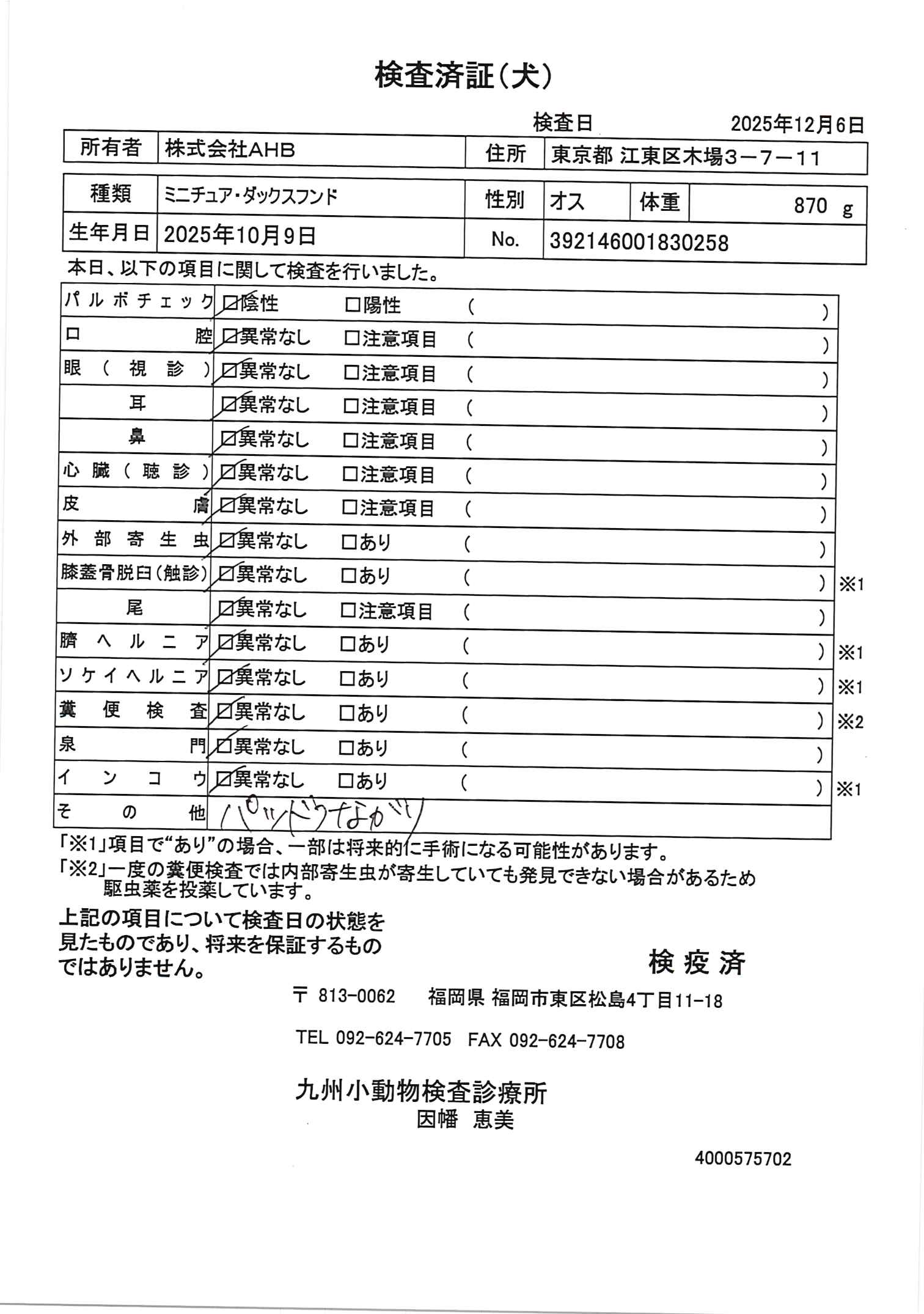 ミニチュア・ダックスフンド