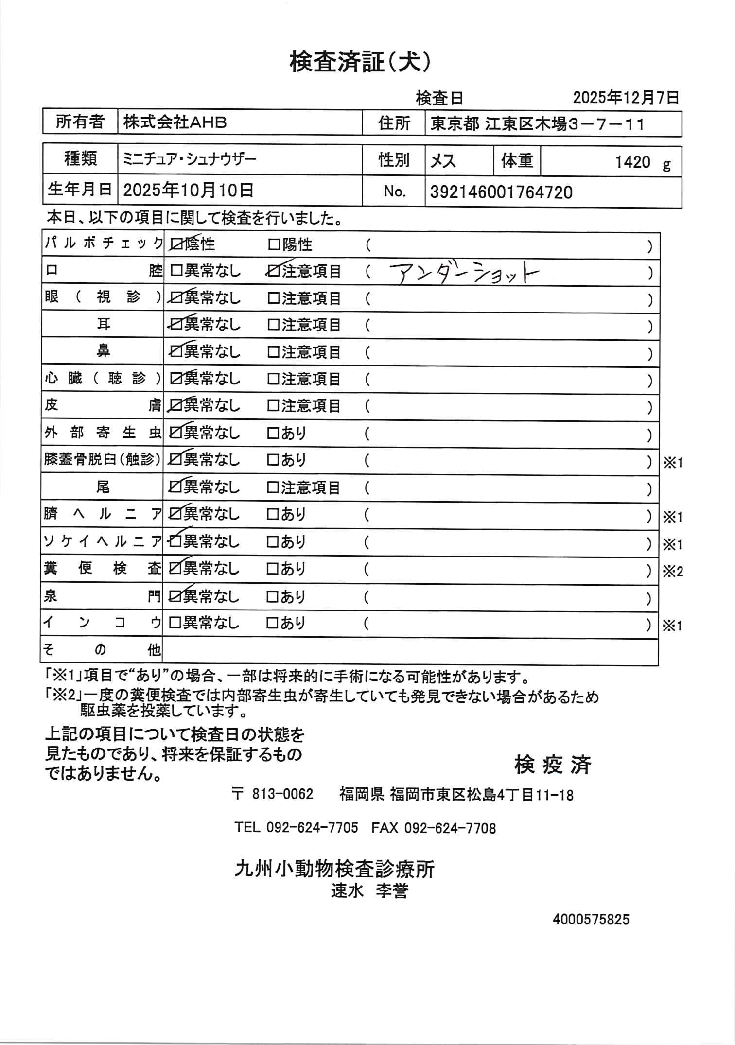 ミニチュア・シュナウザー