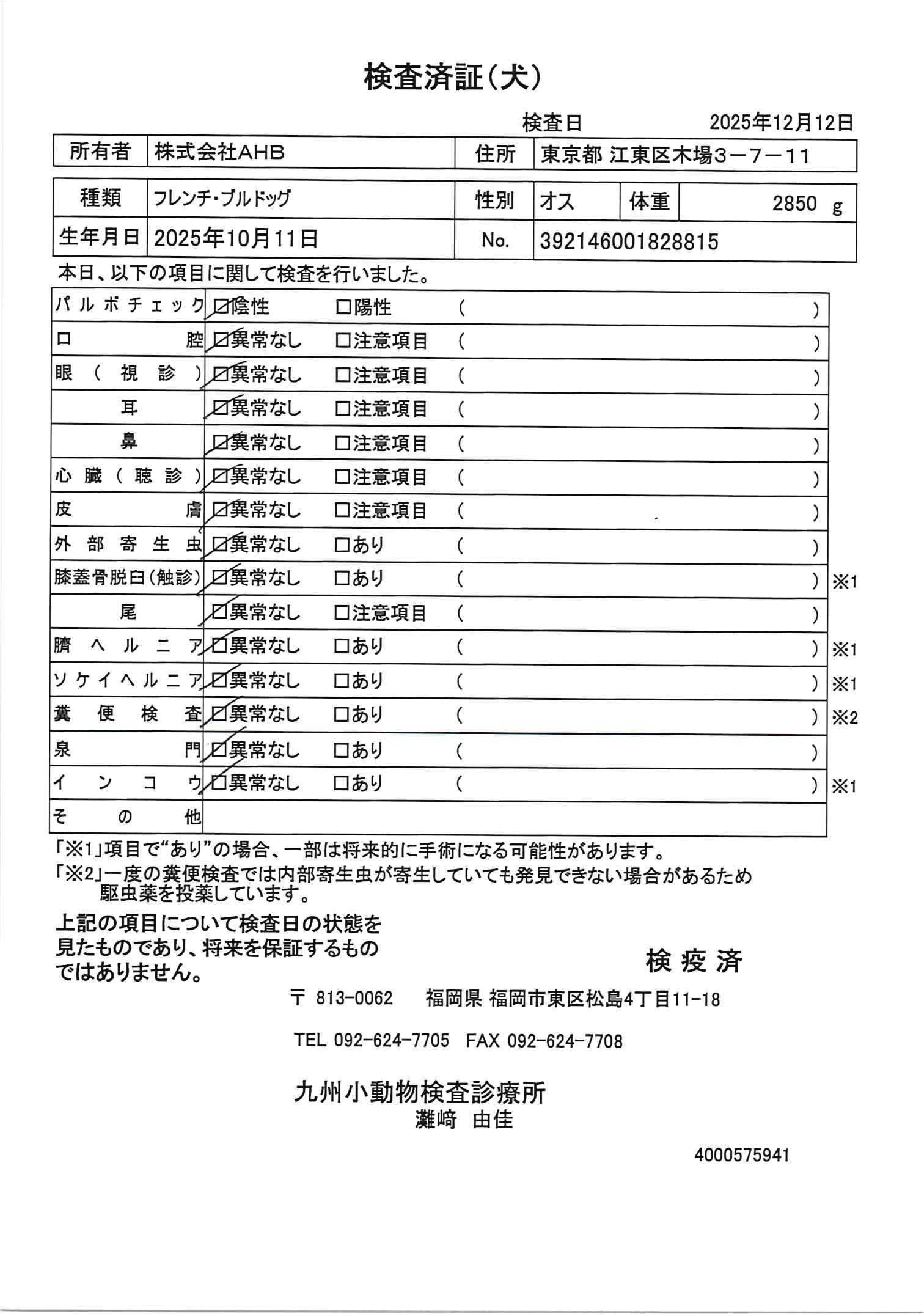 フレンチ・ブルドッグ