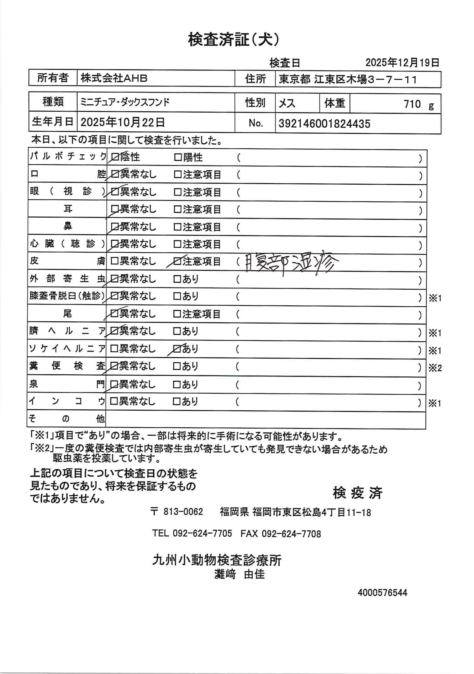 ミニチュア・ダックスフンド