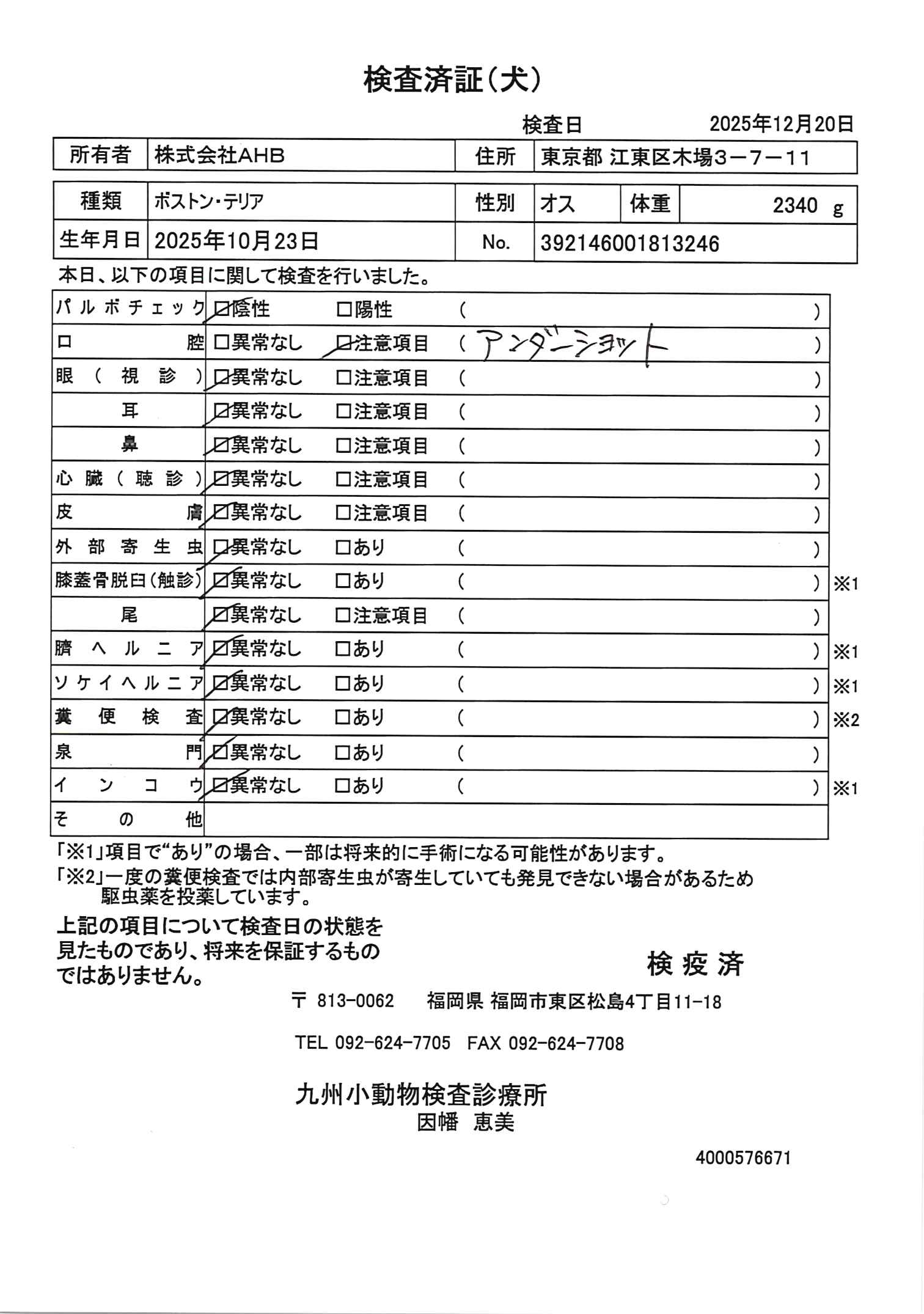 ボストン・テリア