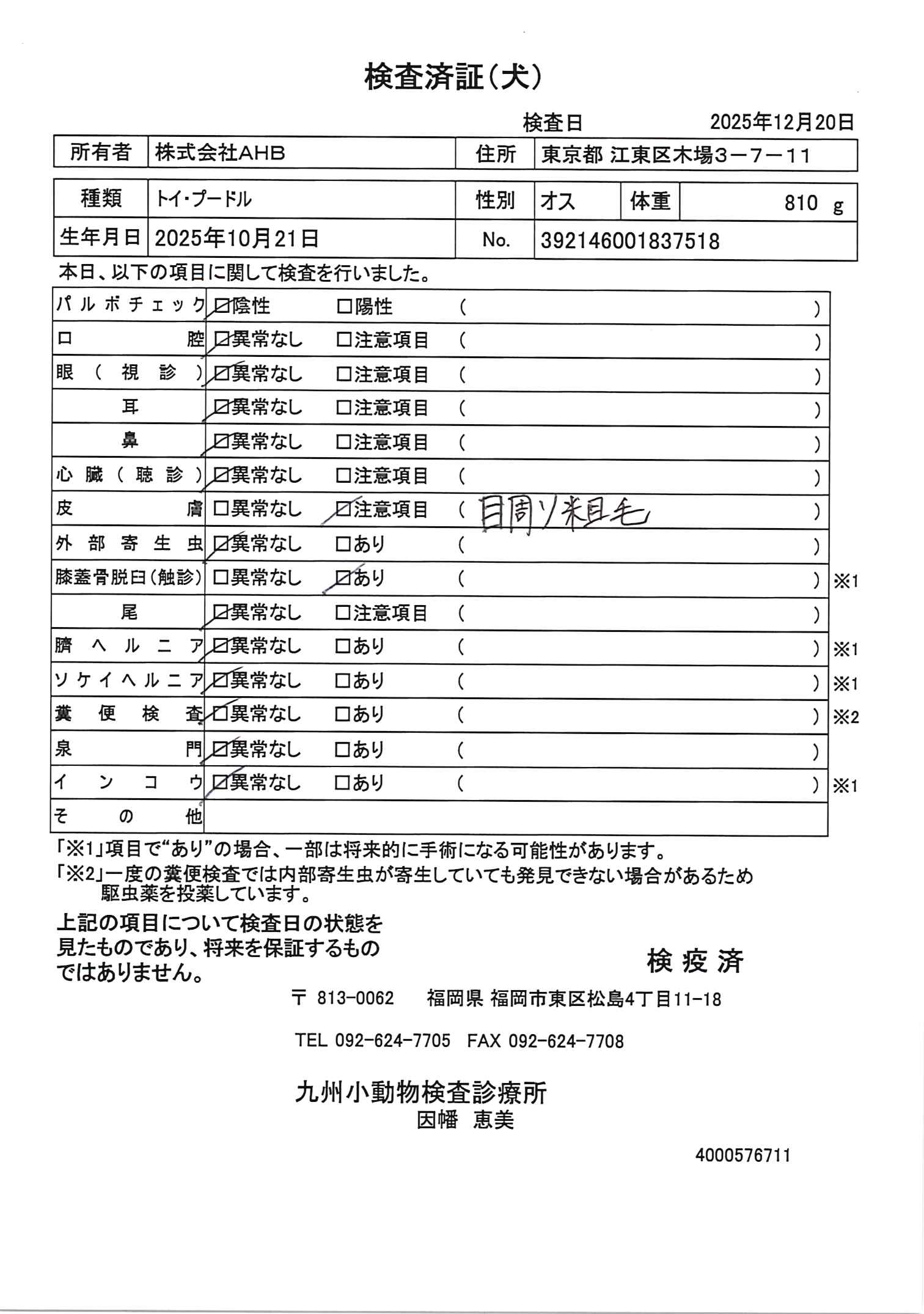 トイ・プードル