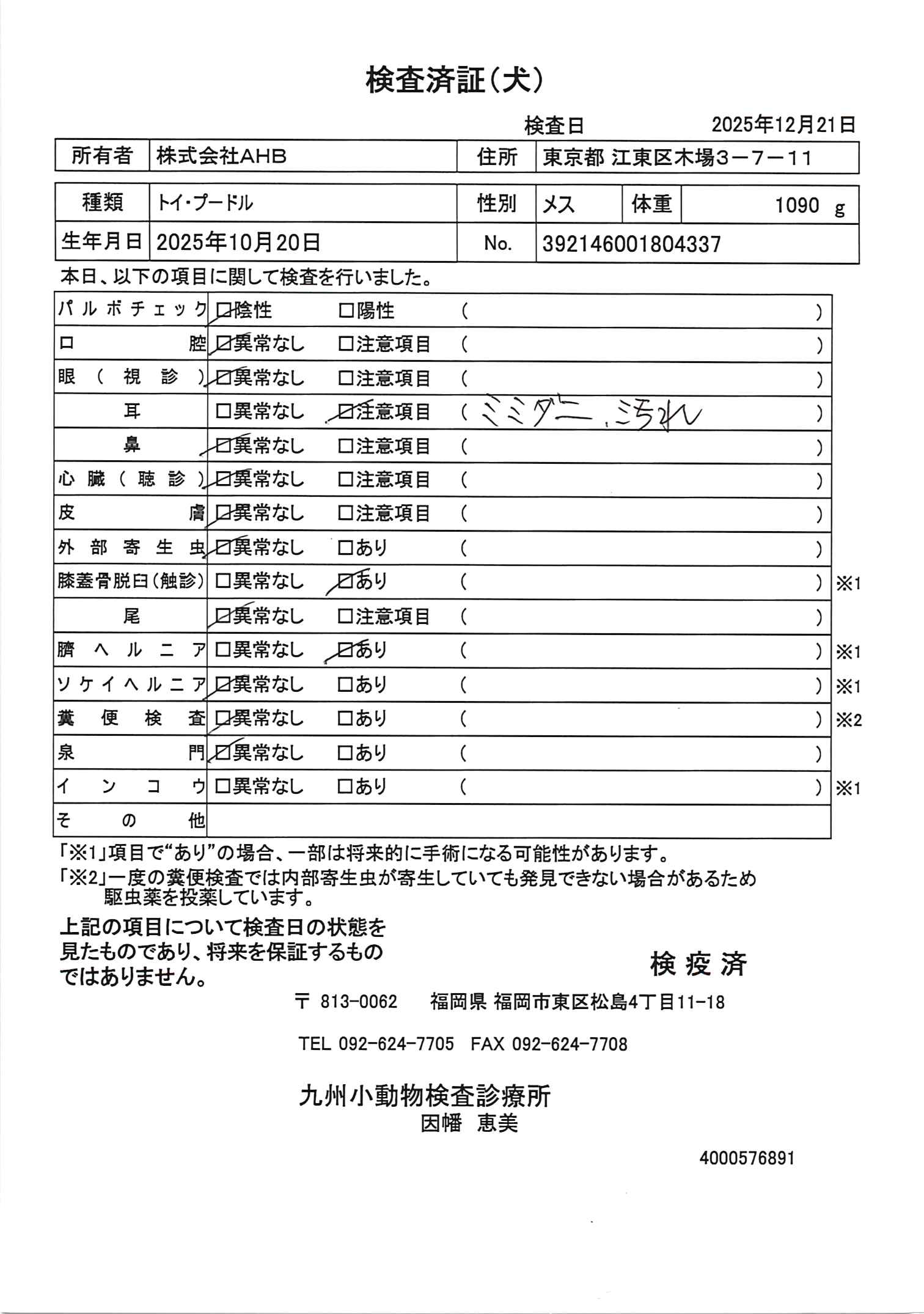 トイ・プードル