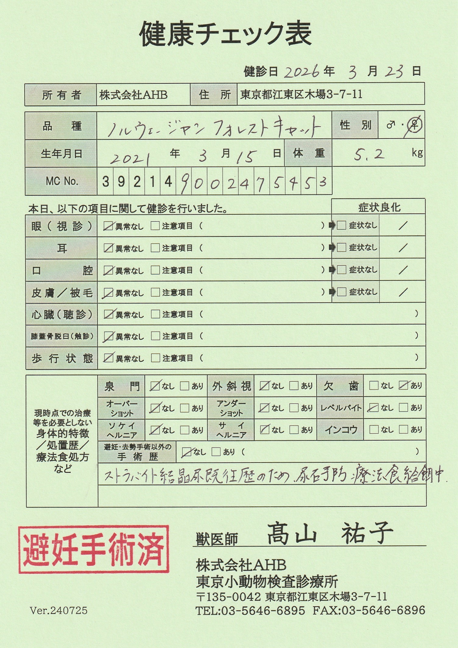 ノルウェージャンフォレストキャット