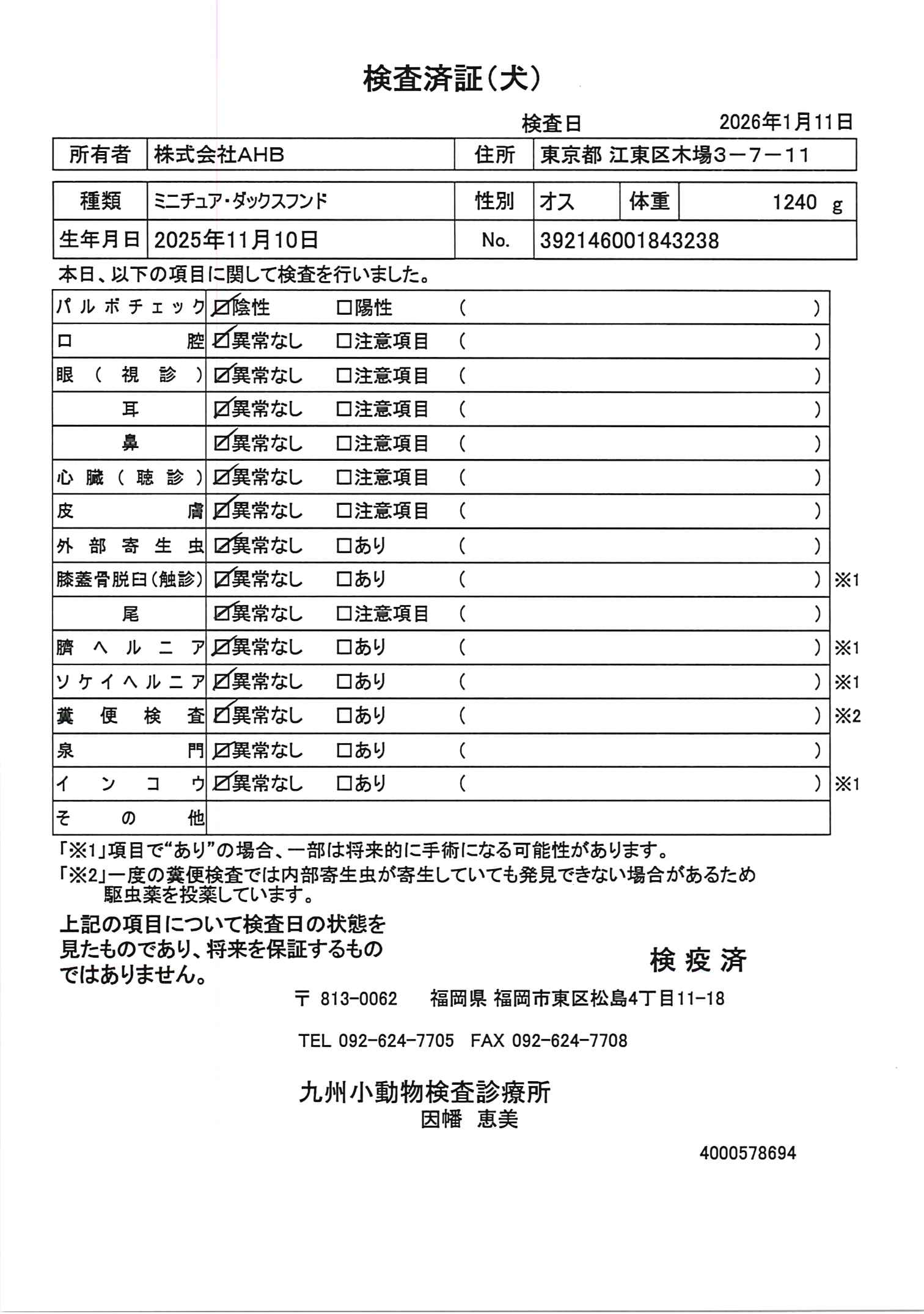 ミニチュア・ダックスフンド
