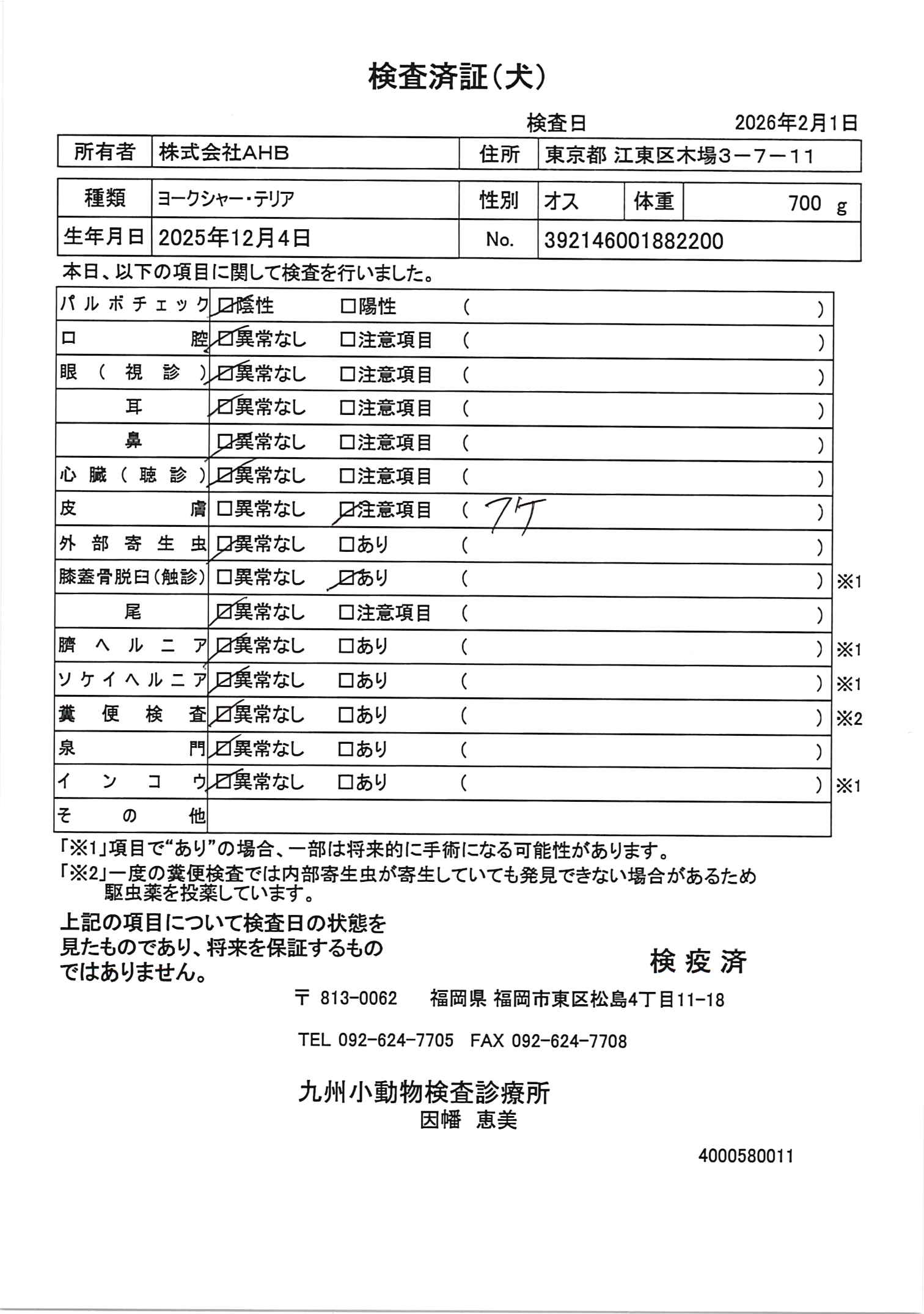 ヨークシャー・テリア