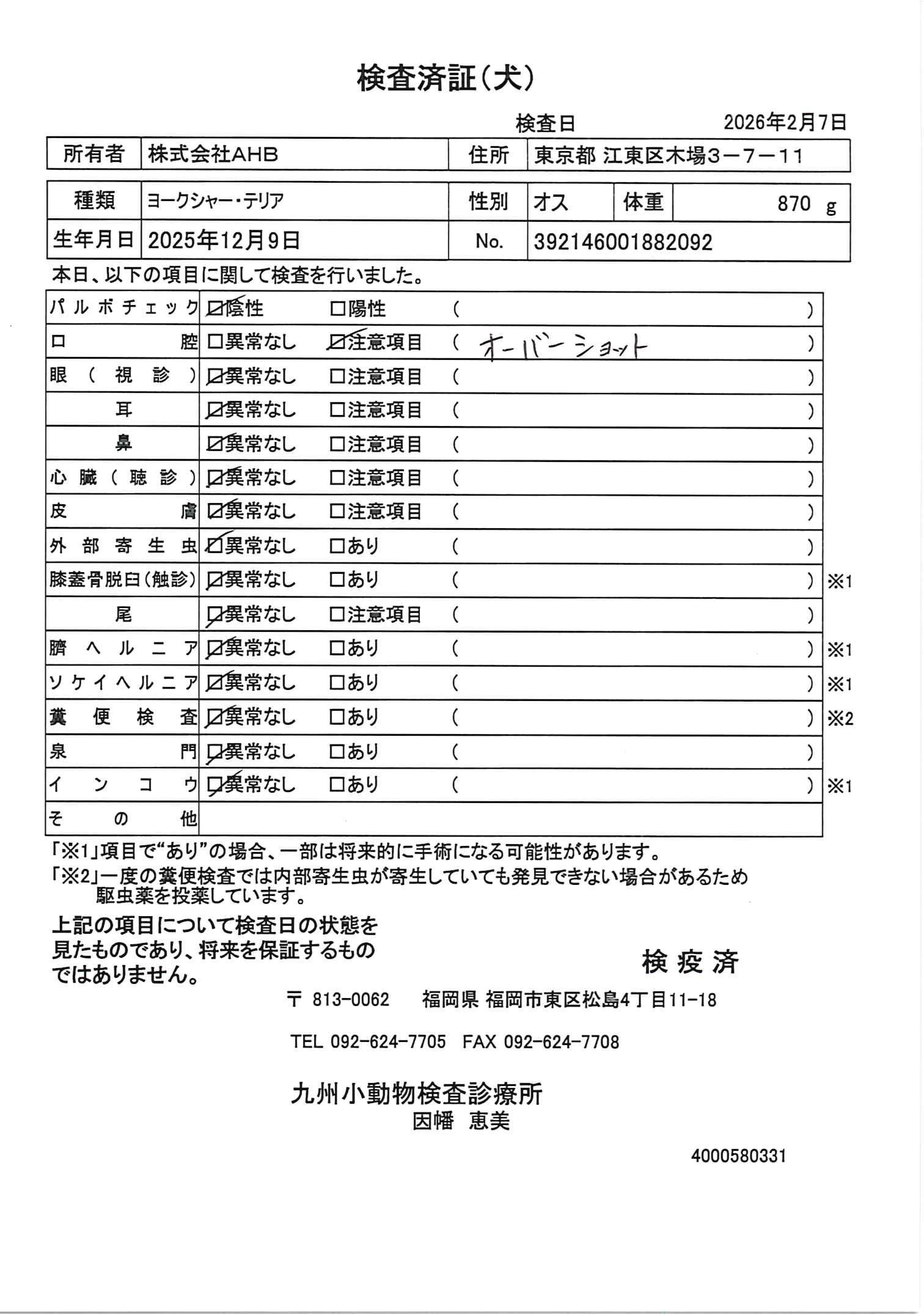 ヨークシャー・テリア
