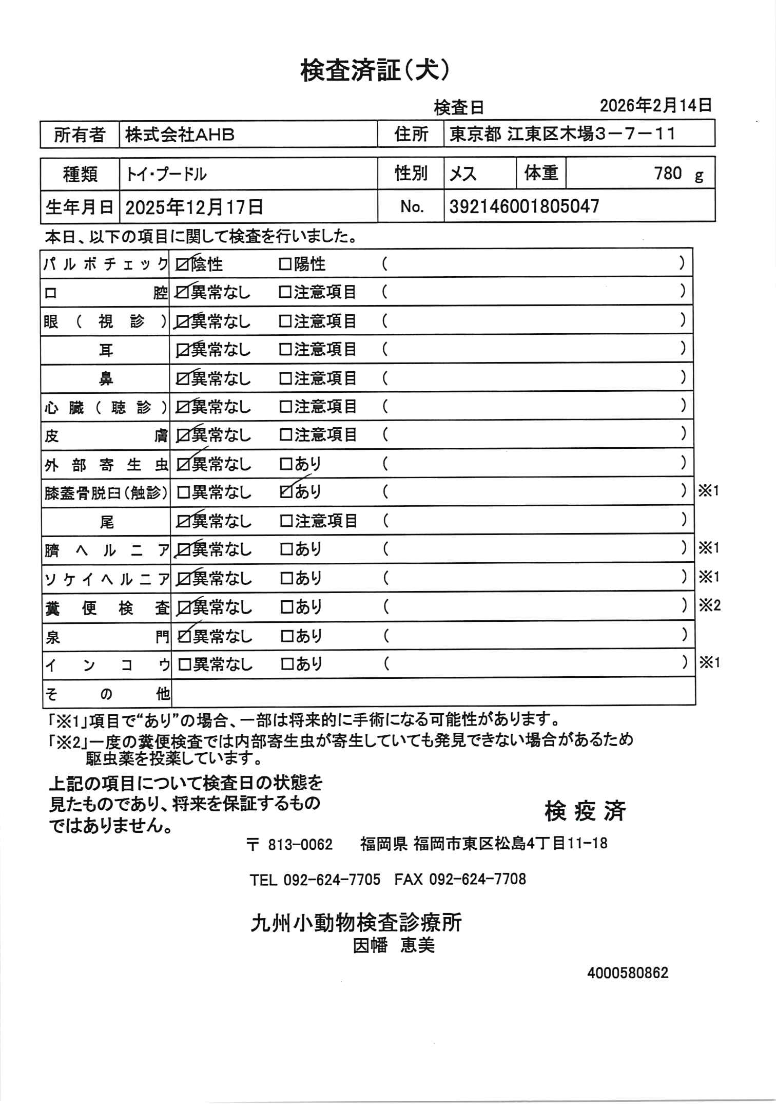 トイ・プードル