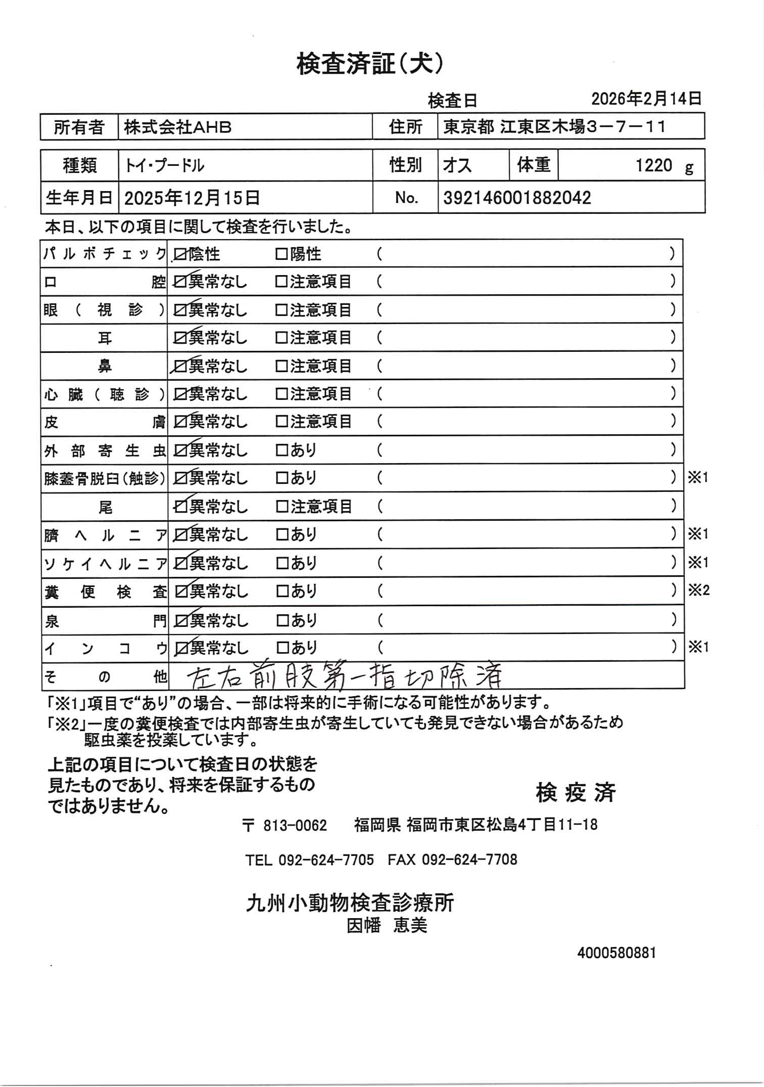 トイ・プードル