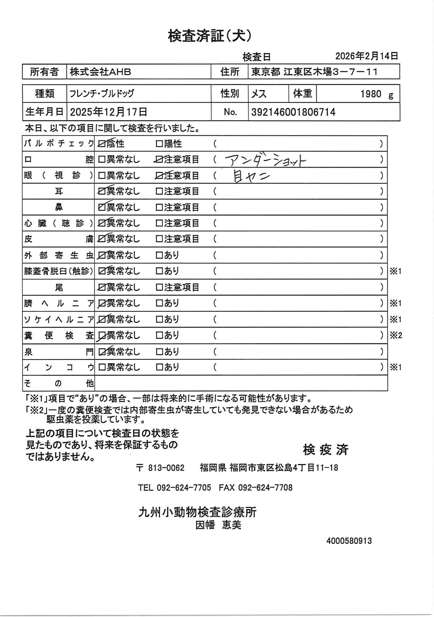フレンチ・ブルドッグ