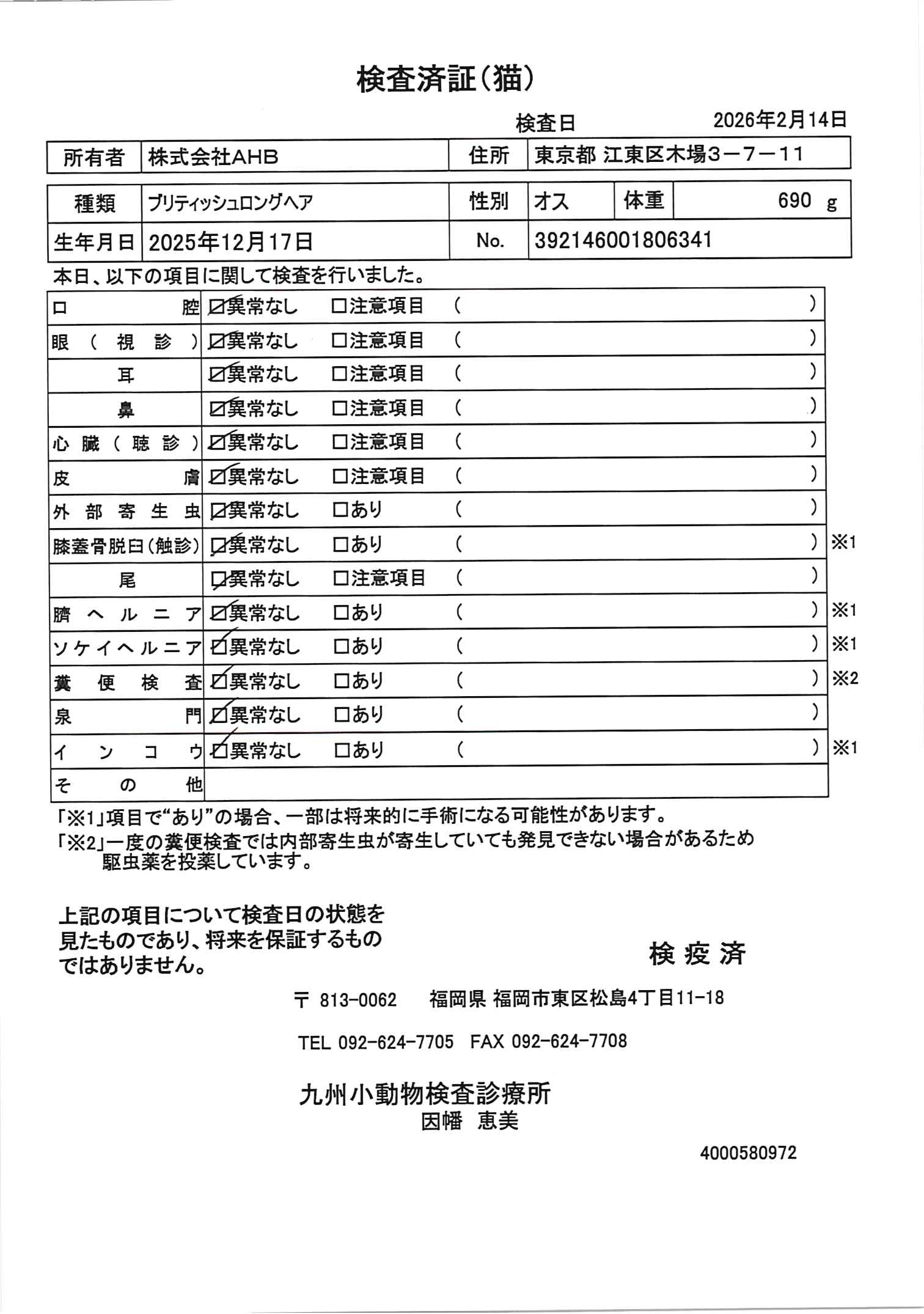 ブリティッシュロングヘア