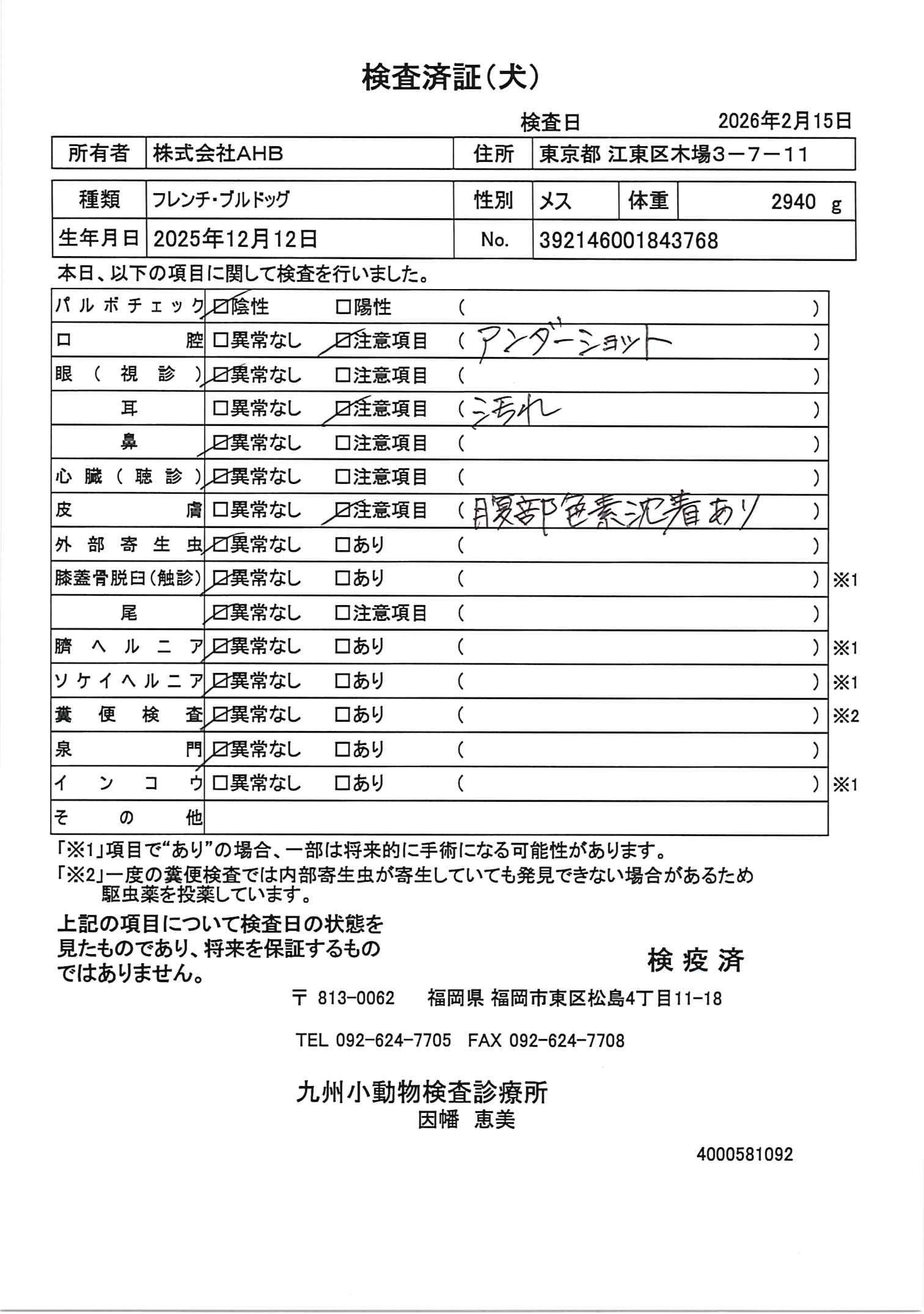 フレンチ・ブルドッグ