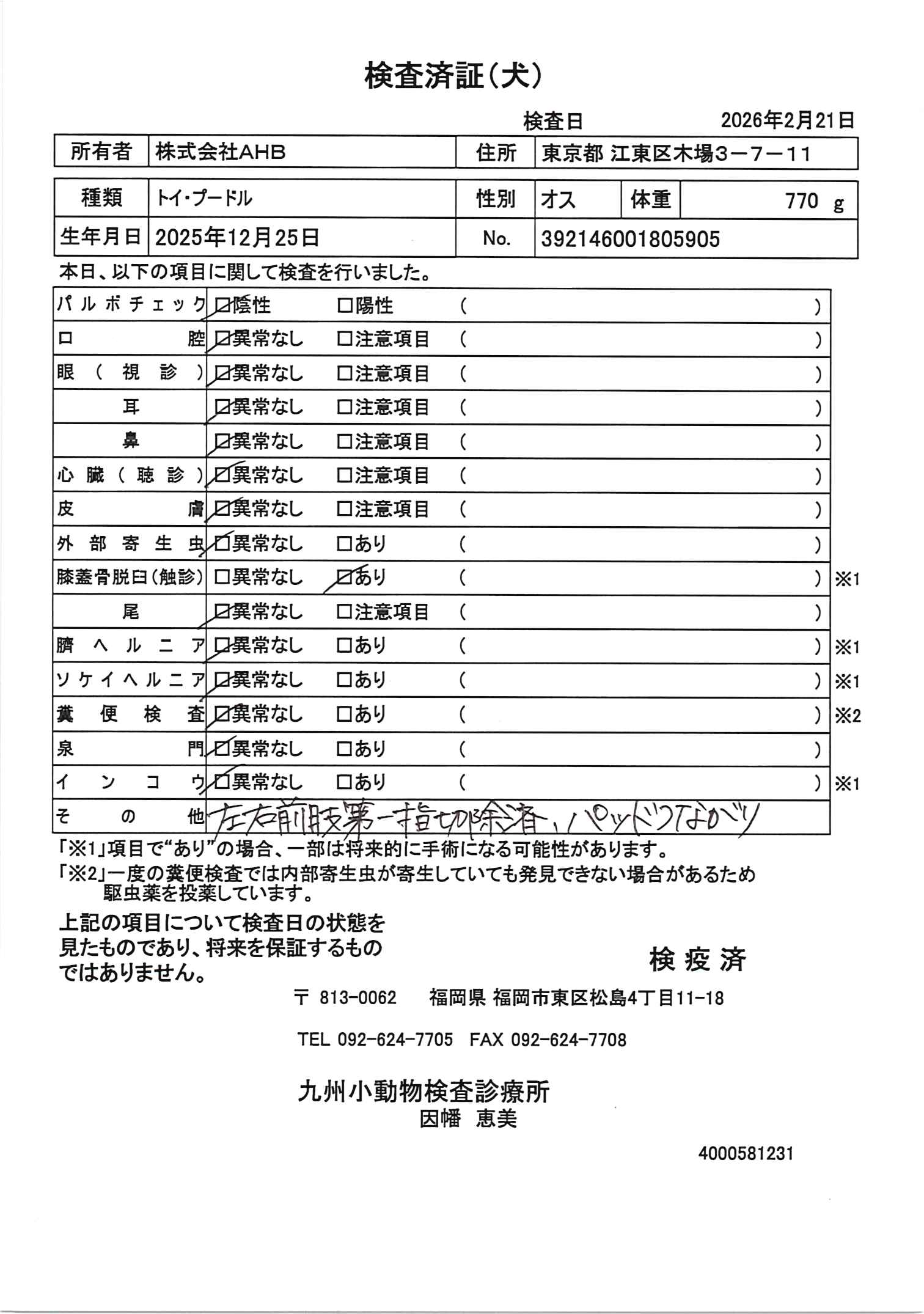 トイ・プードル
