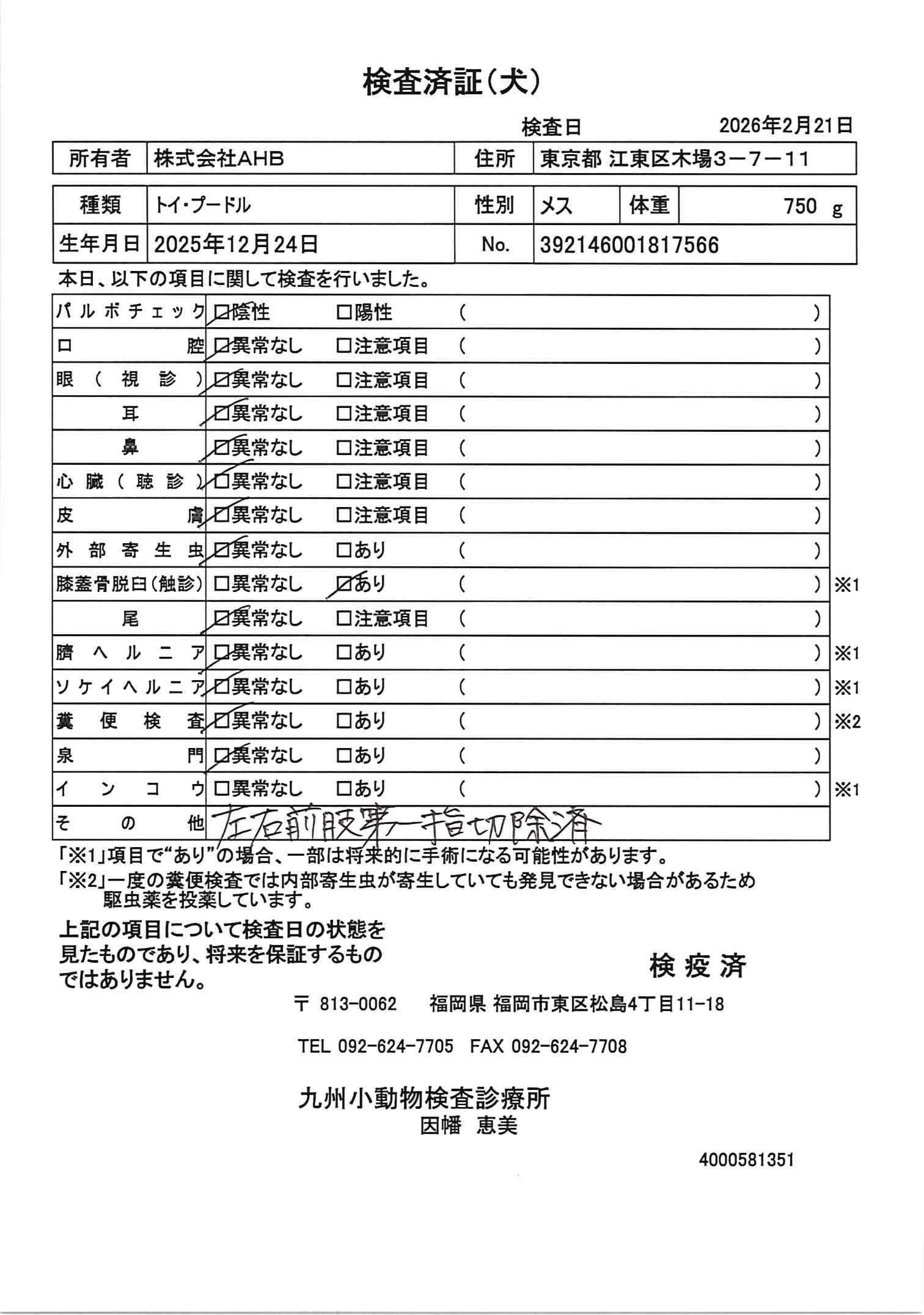 トイ・プードル