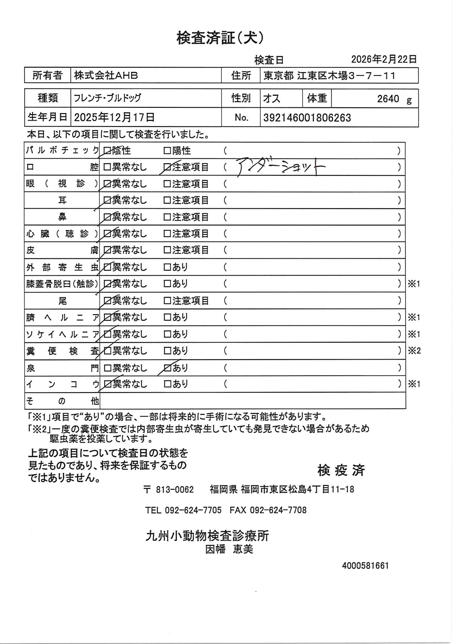 フレンチ・ブルドッグ