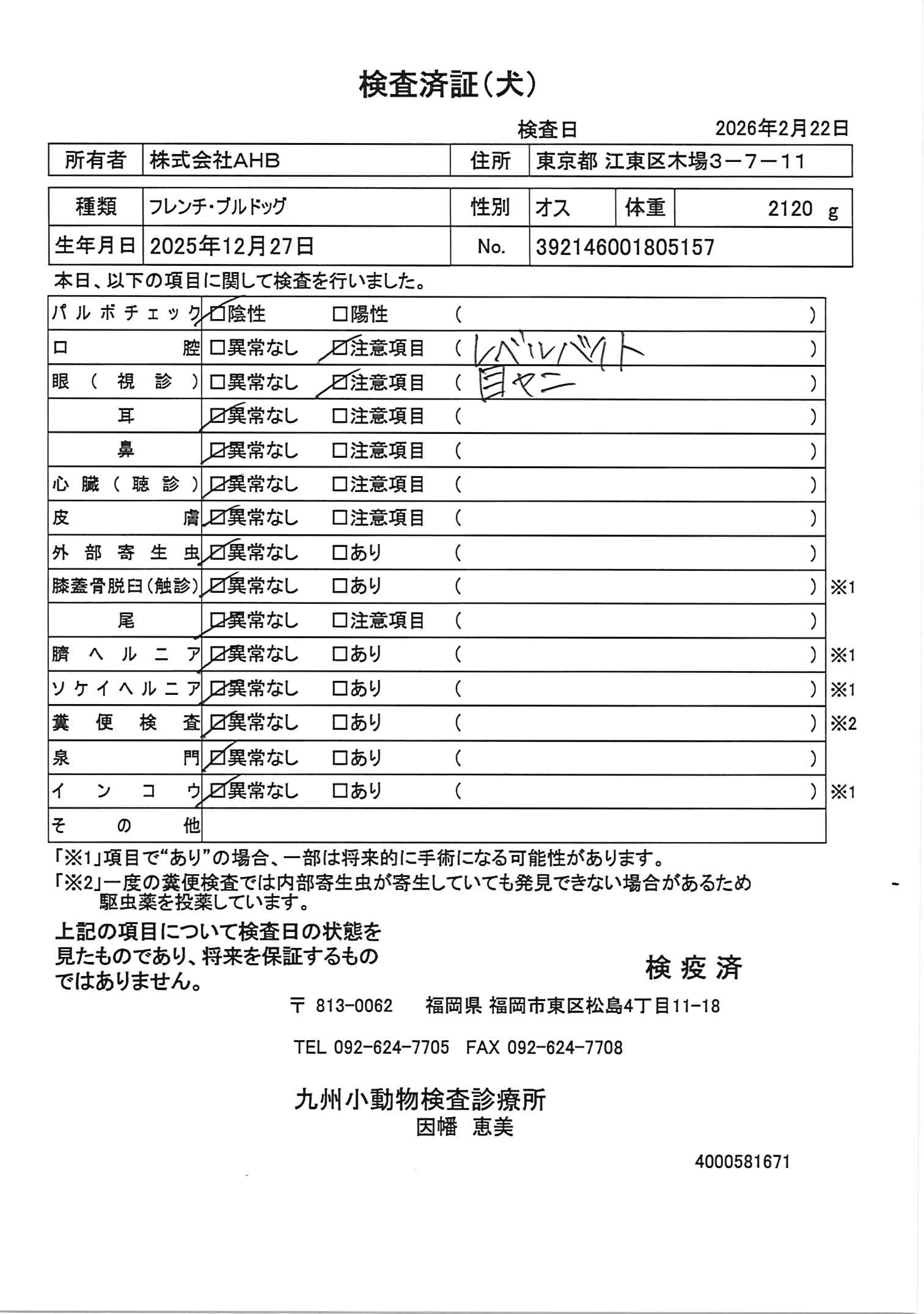 フレンチ・ブルドッグ