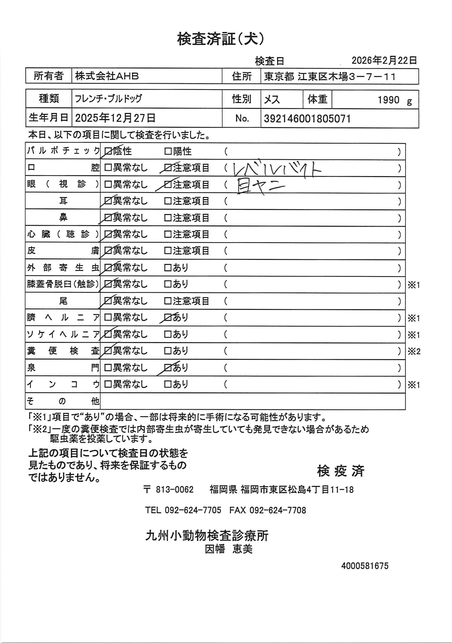 フレンチ・ブルドッグ