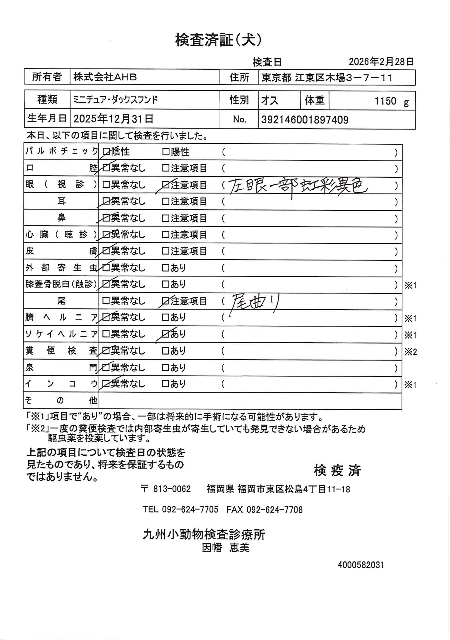ミニチュア・ダックスフンド