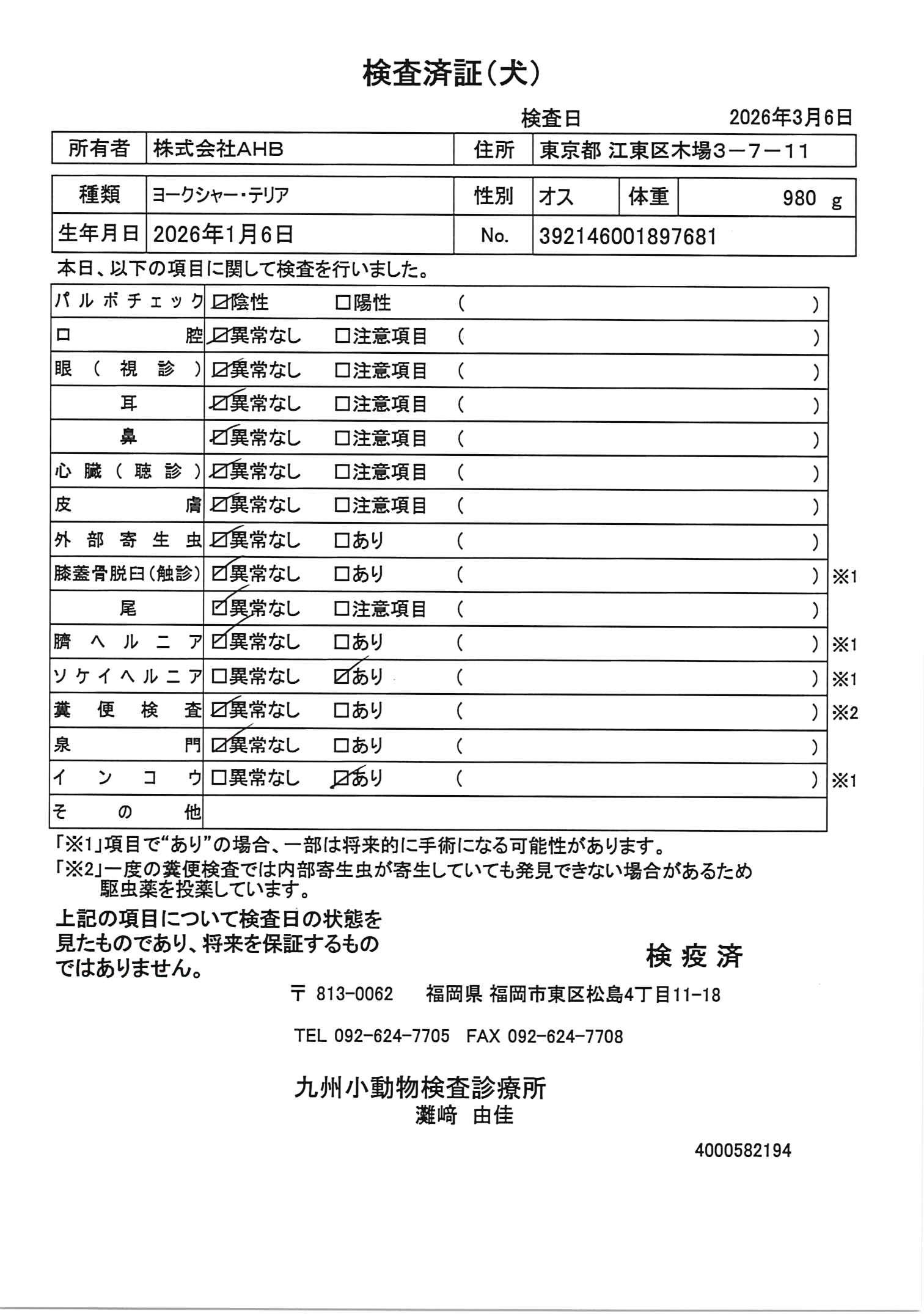 ヨークシャー・テリア