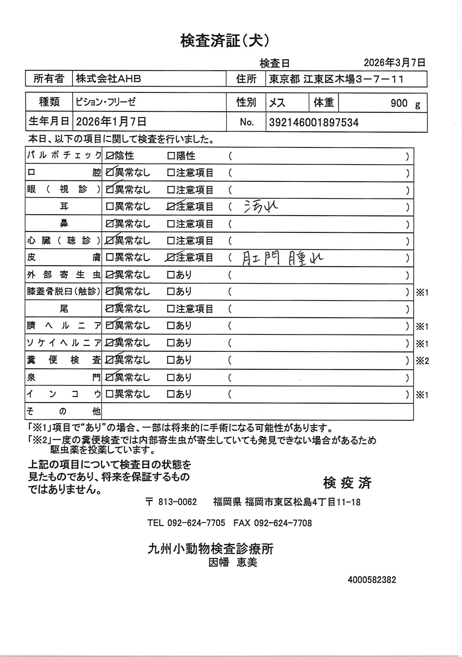 ビション・フリーゼ