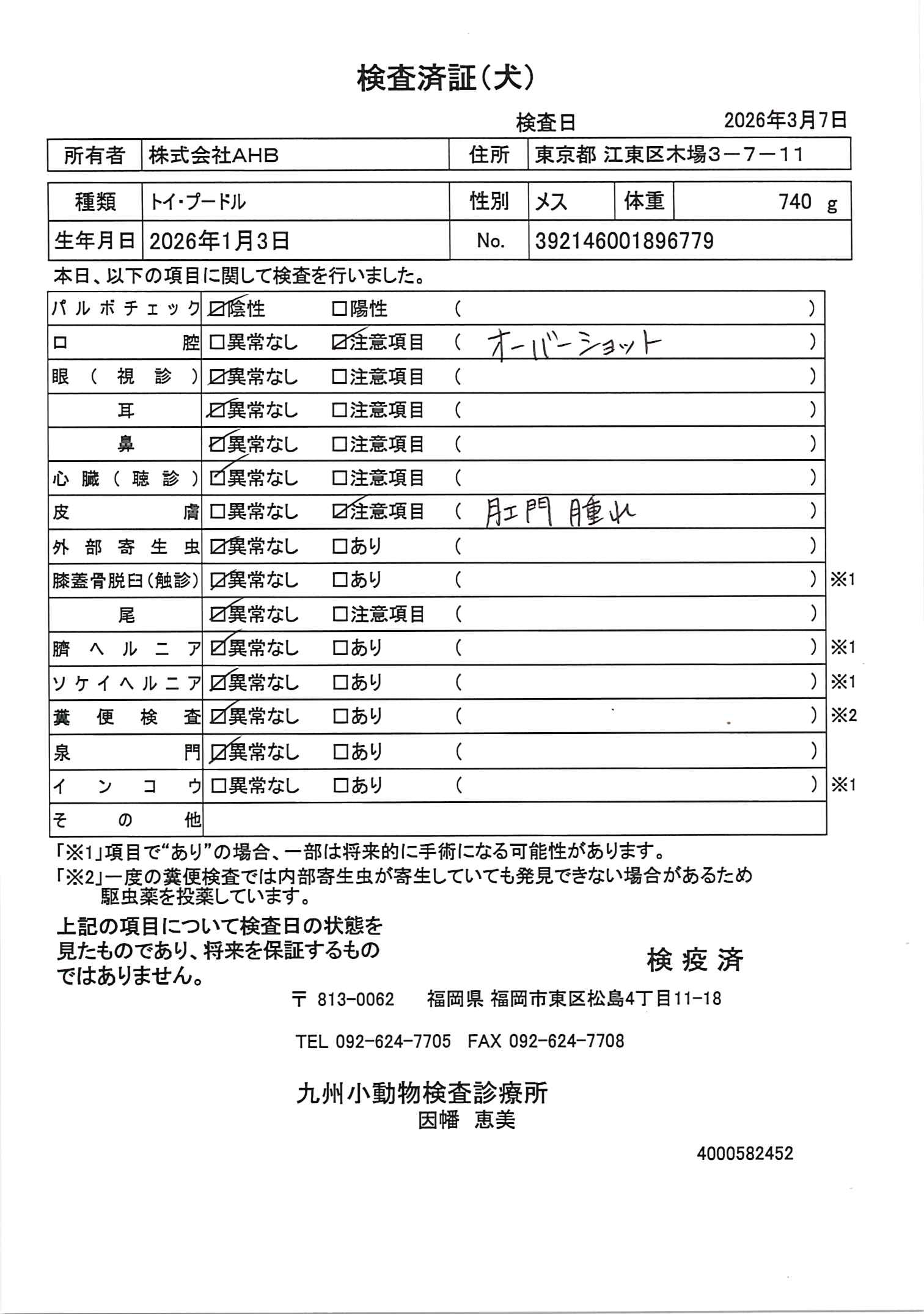 トイ・プードル