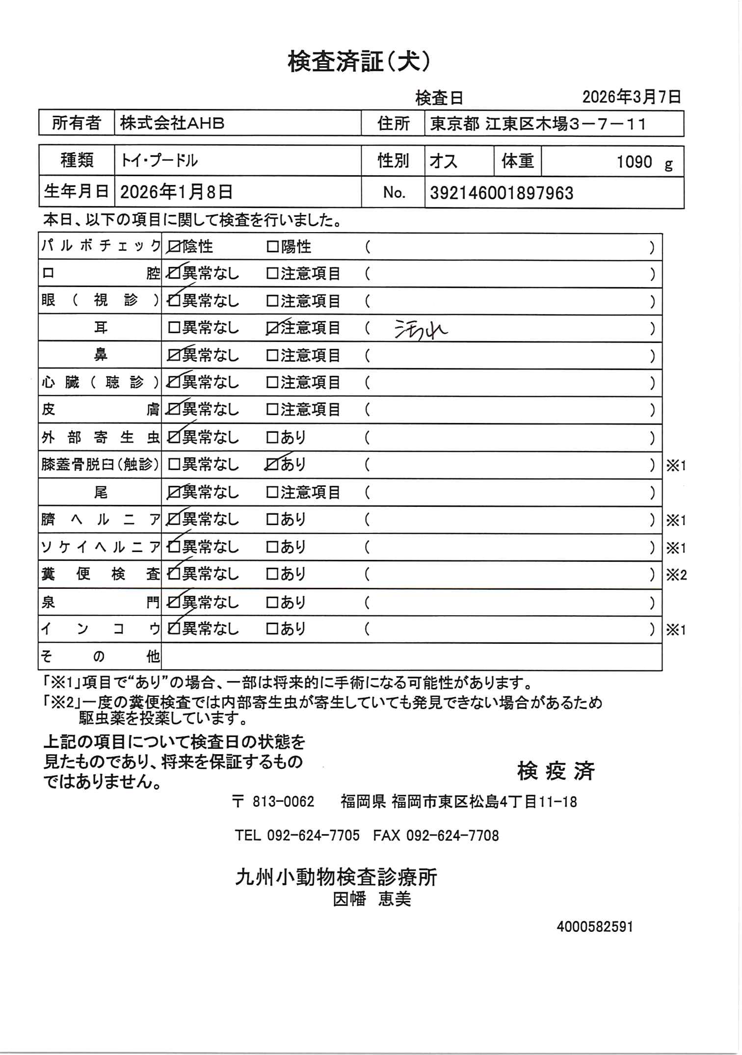 トイ・プードル