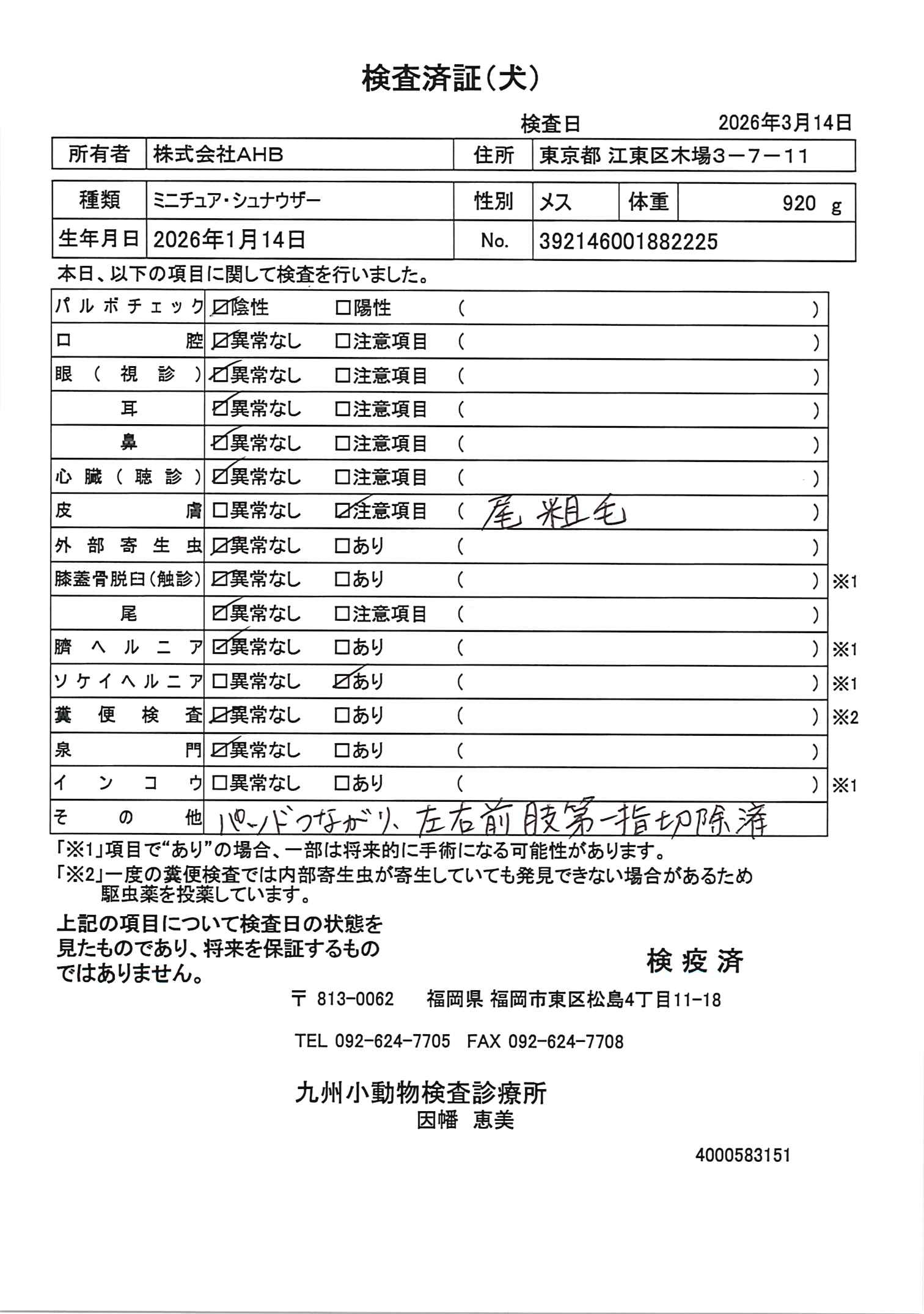 ミニチュア・シュナウザー