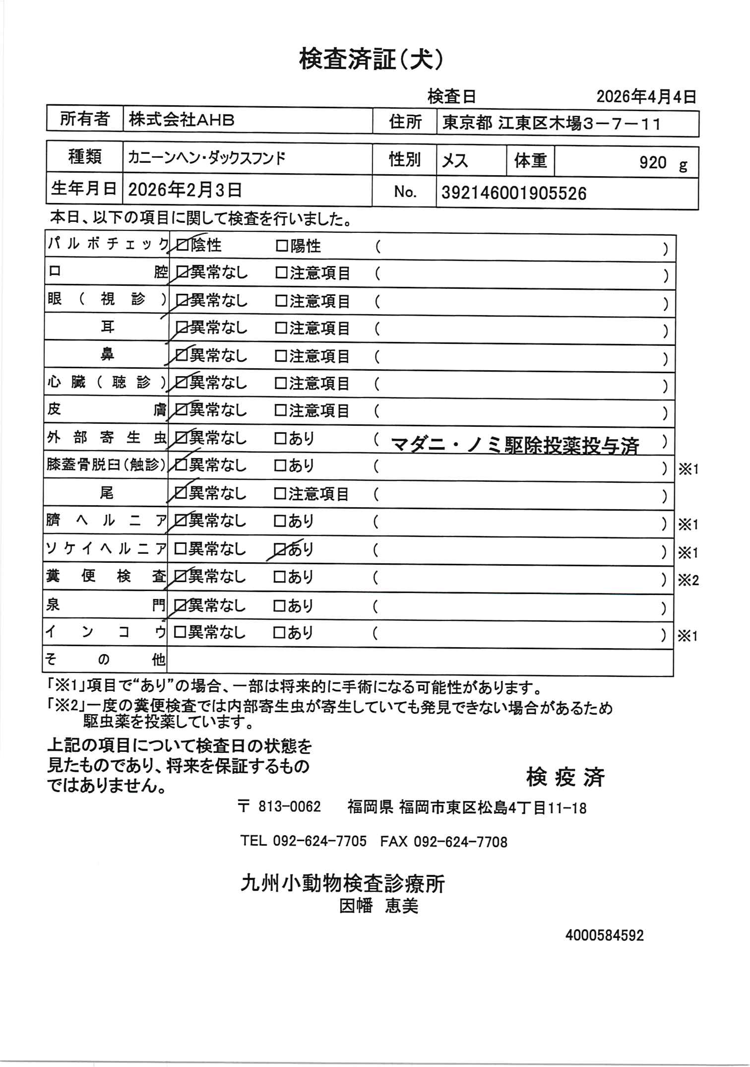 カニーンヘン・ダックスフンド