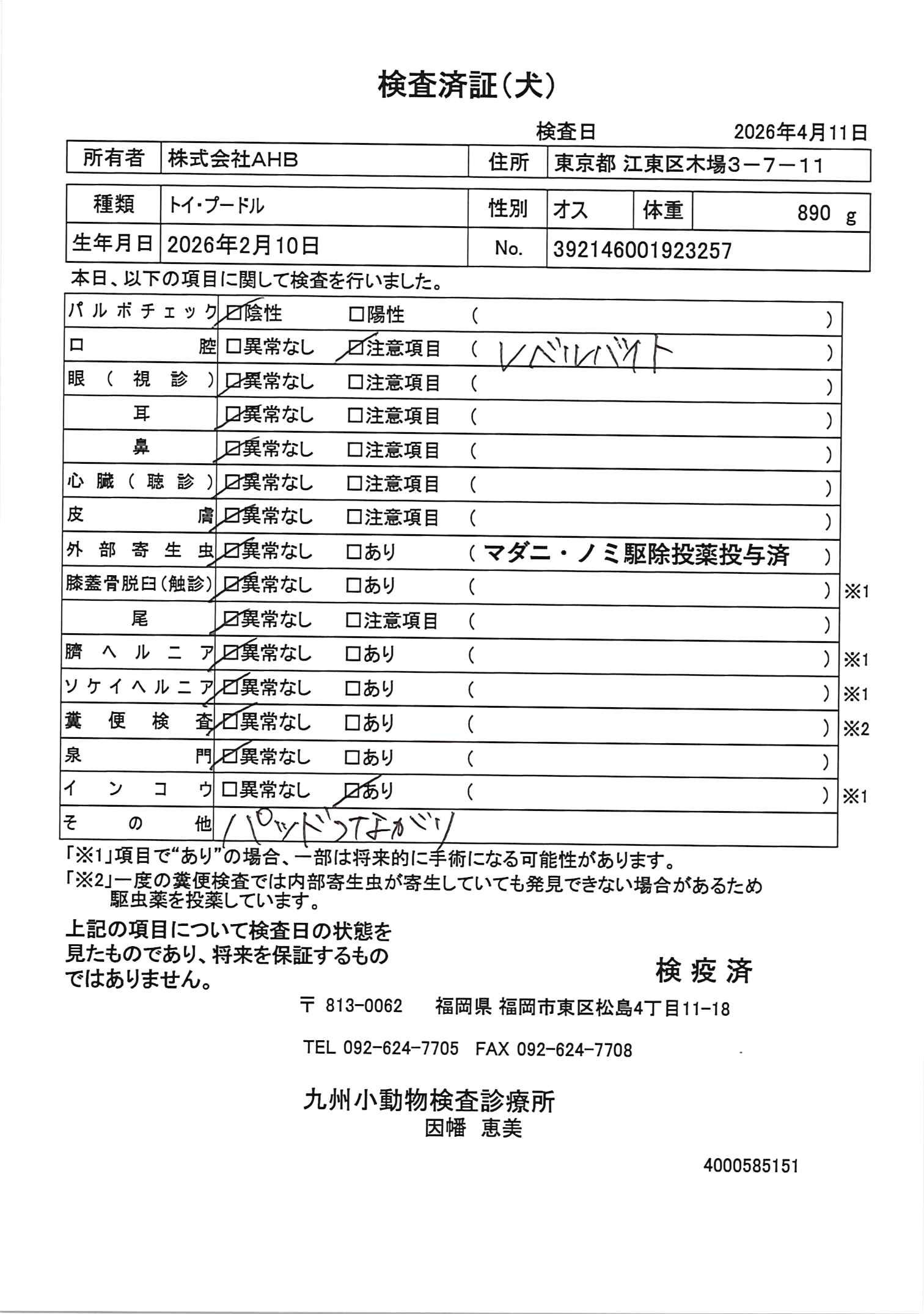 トイ・プードル