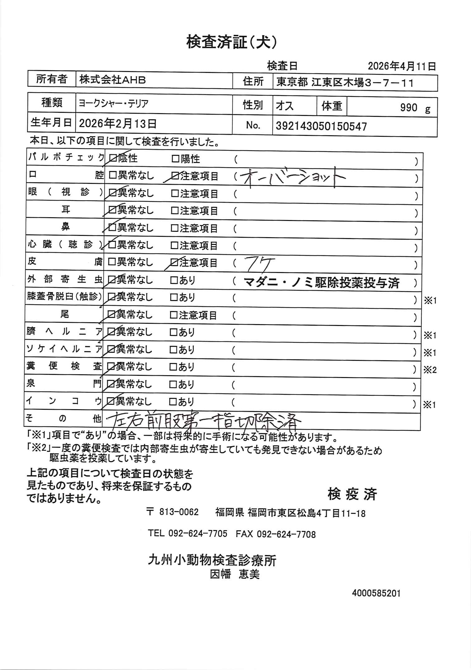 ヨークシャー・テリア