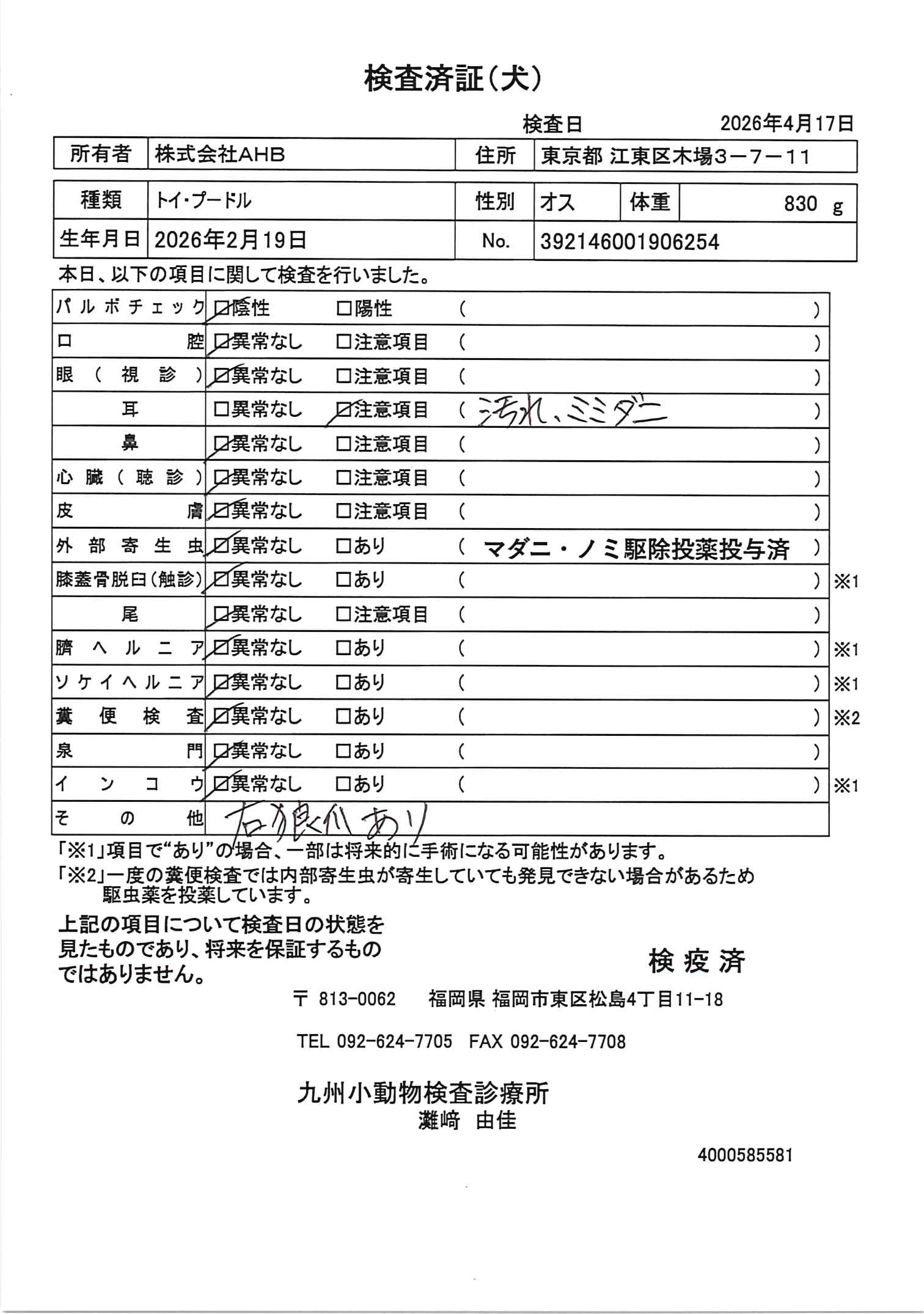 トイ・プードル