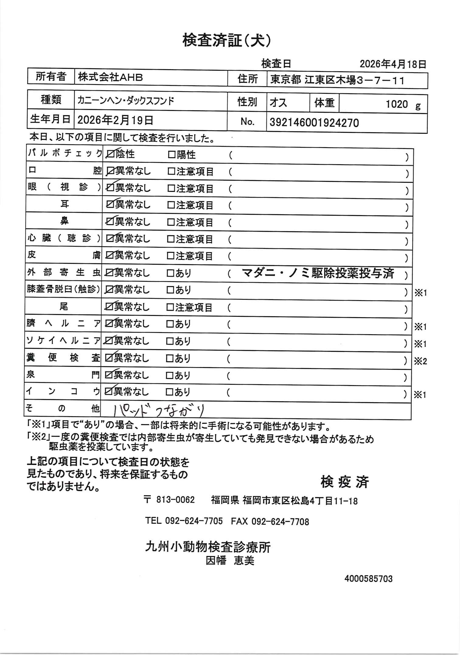 カニーンヘン・ダックスフンド