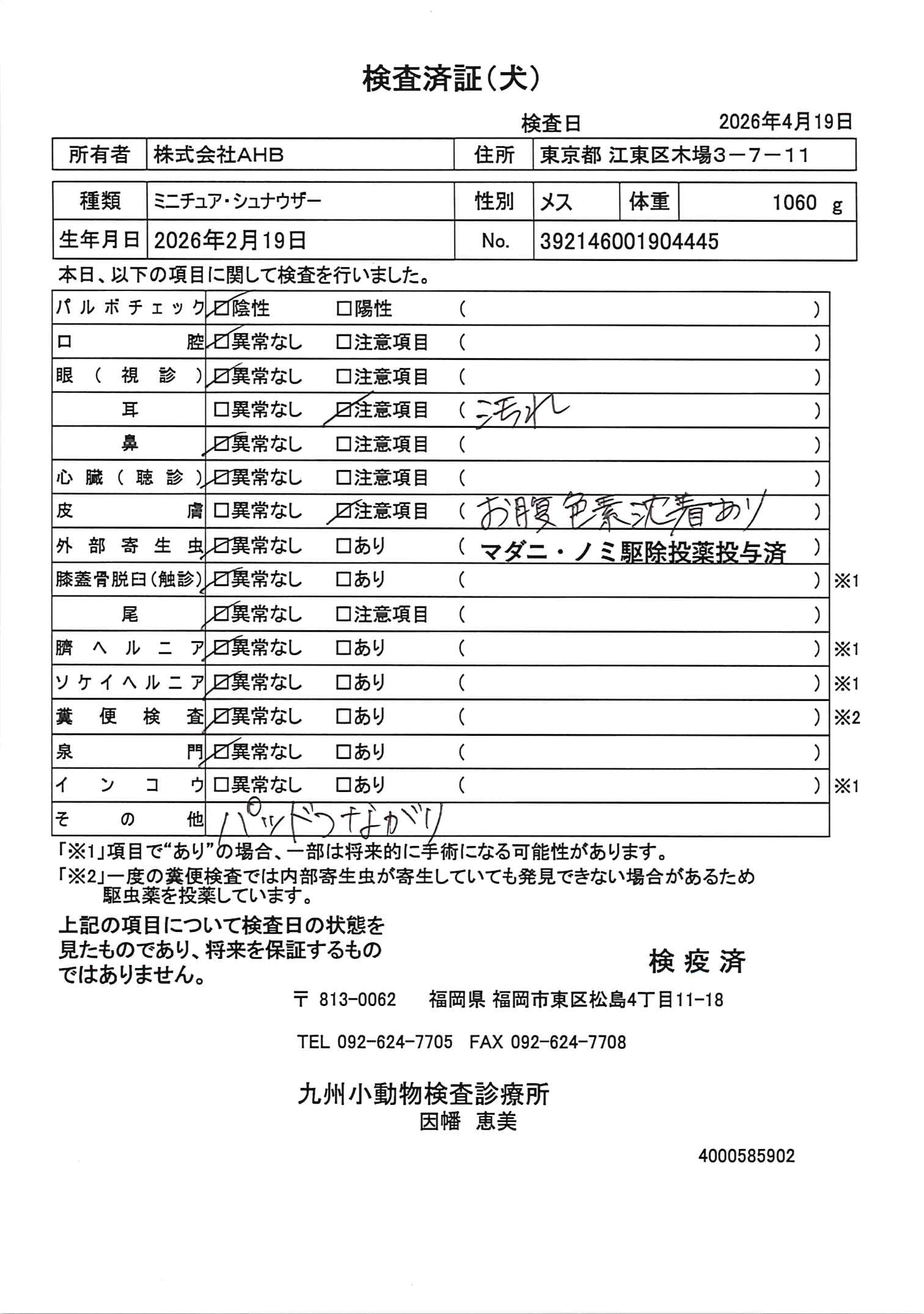 ミニチュア・シュナウザー
