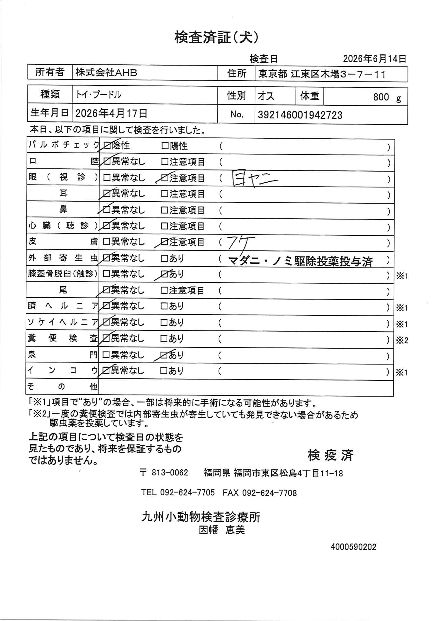 トイ・プードル