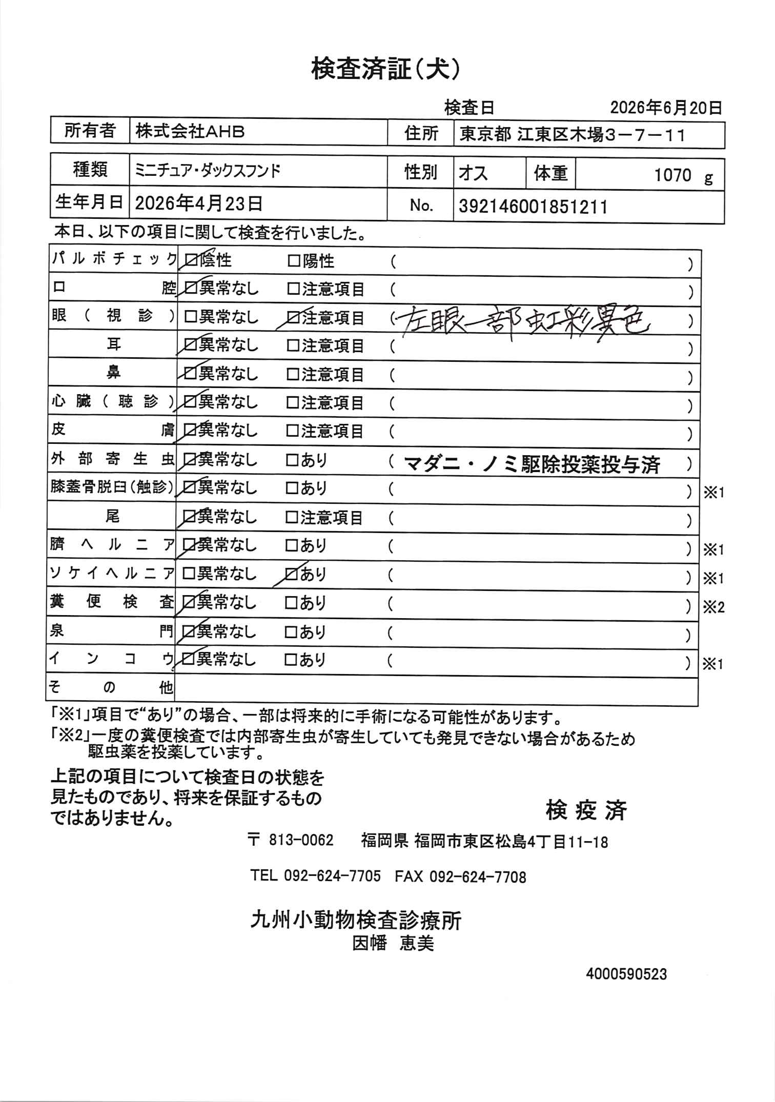 ミニチュア・ダックスフンド