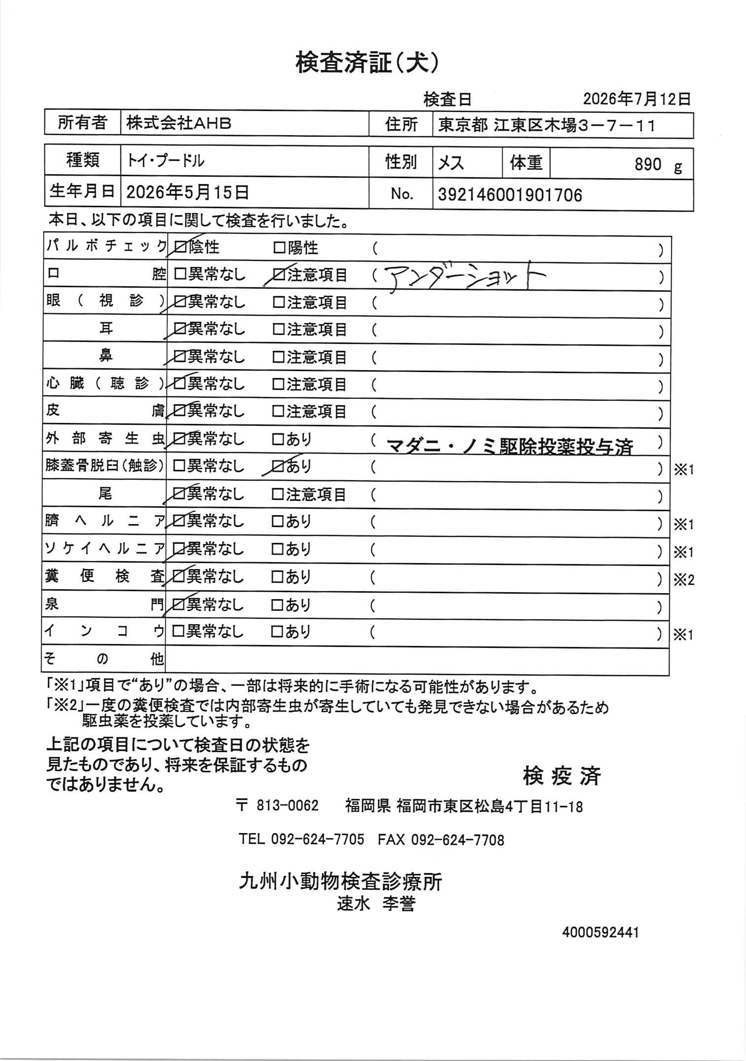 トイ・プードル