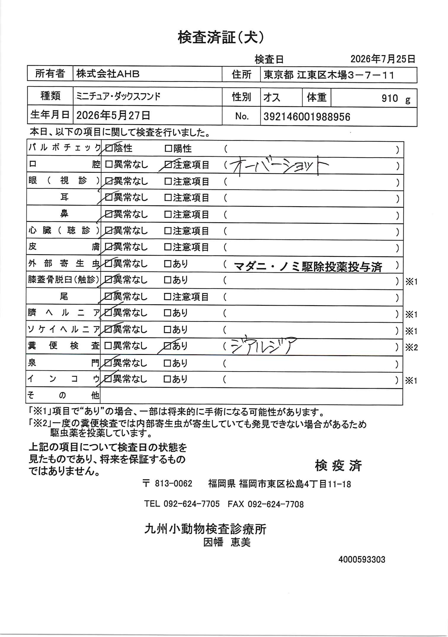 ミニチュア・ダックスフンド