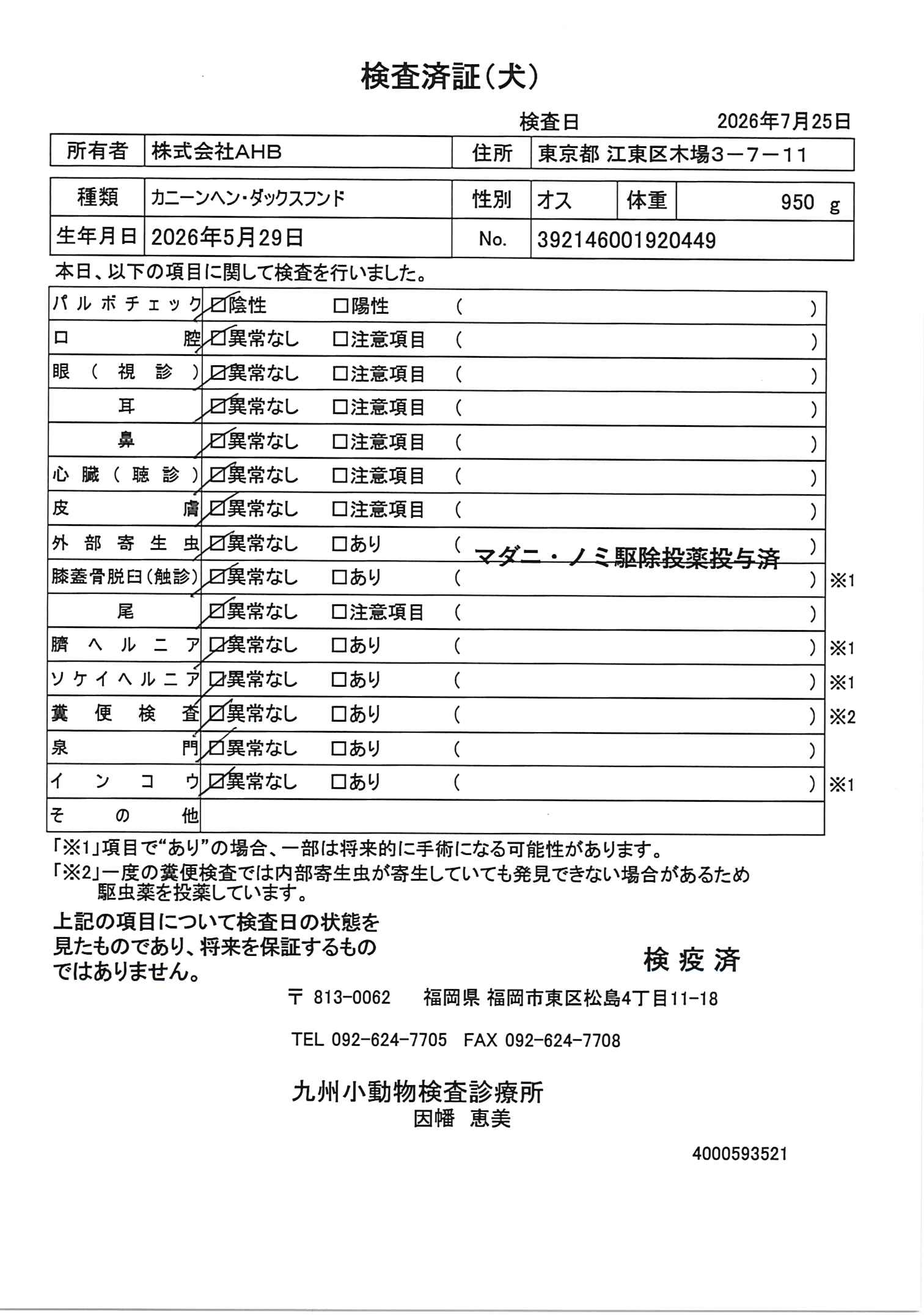 カニーンヘン・ダックスフンド