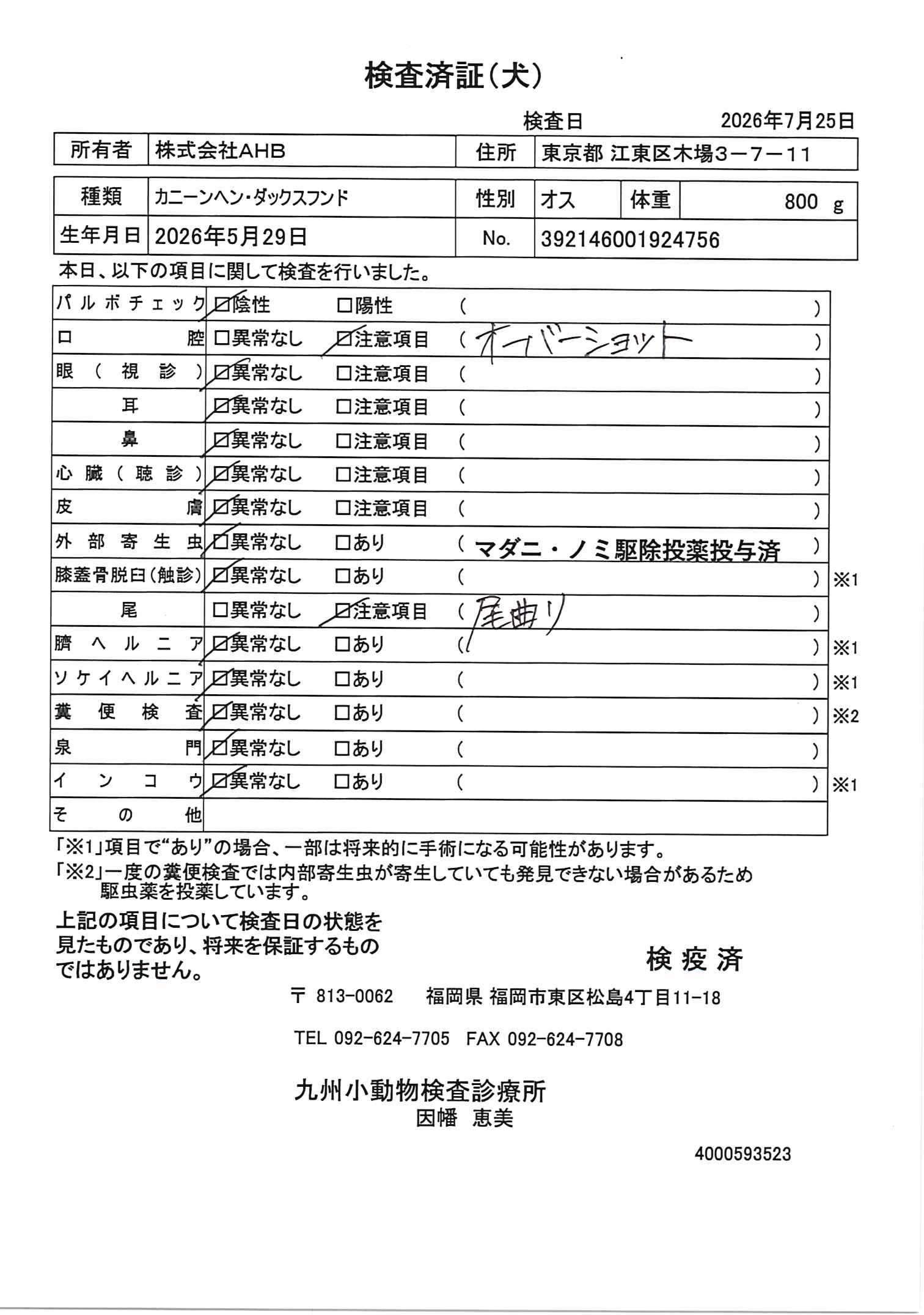 カニーンヘン・ダックスフンド