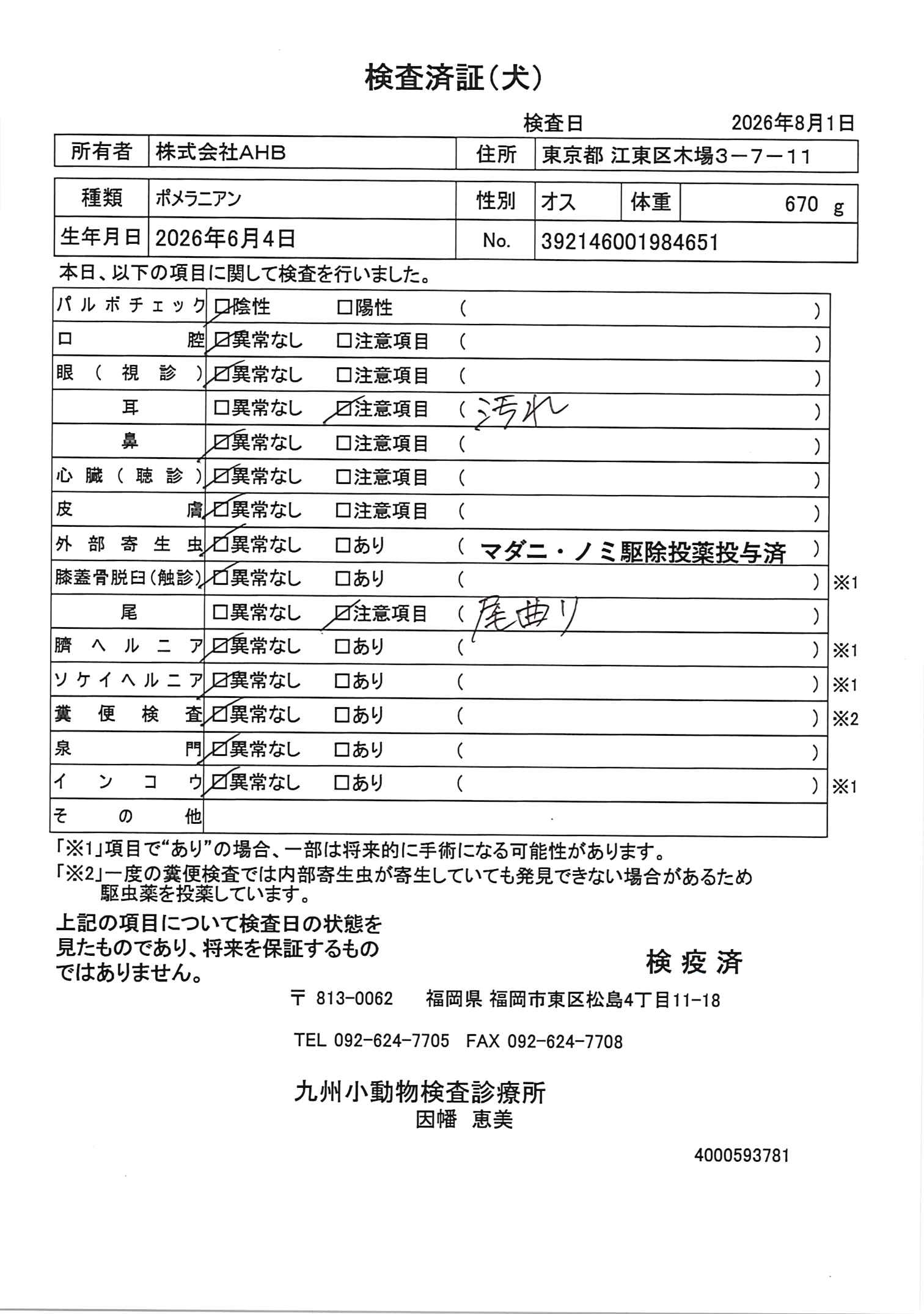 ポメラニアン